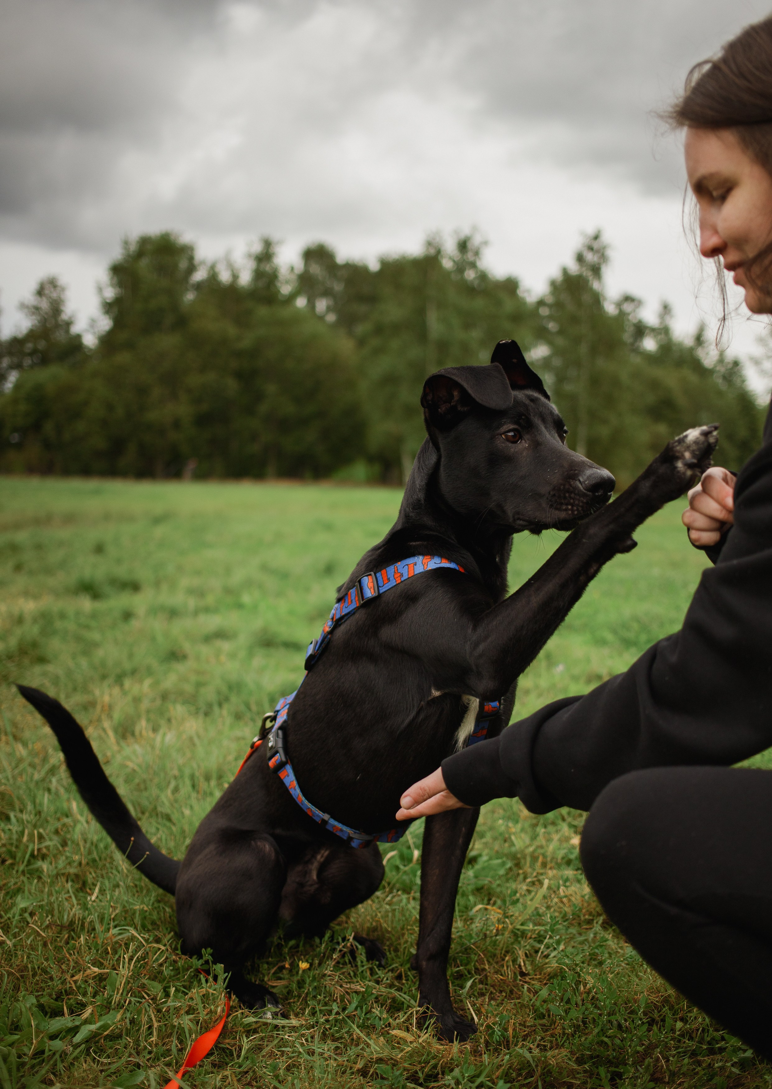 Отис ищет дом. Портретный фотограф в Санкт-Петербурге Катя Протасевич