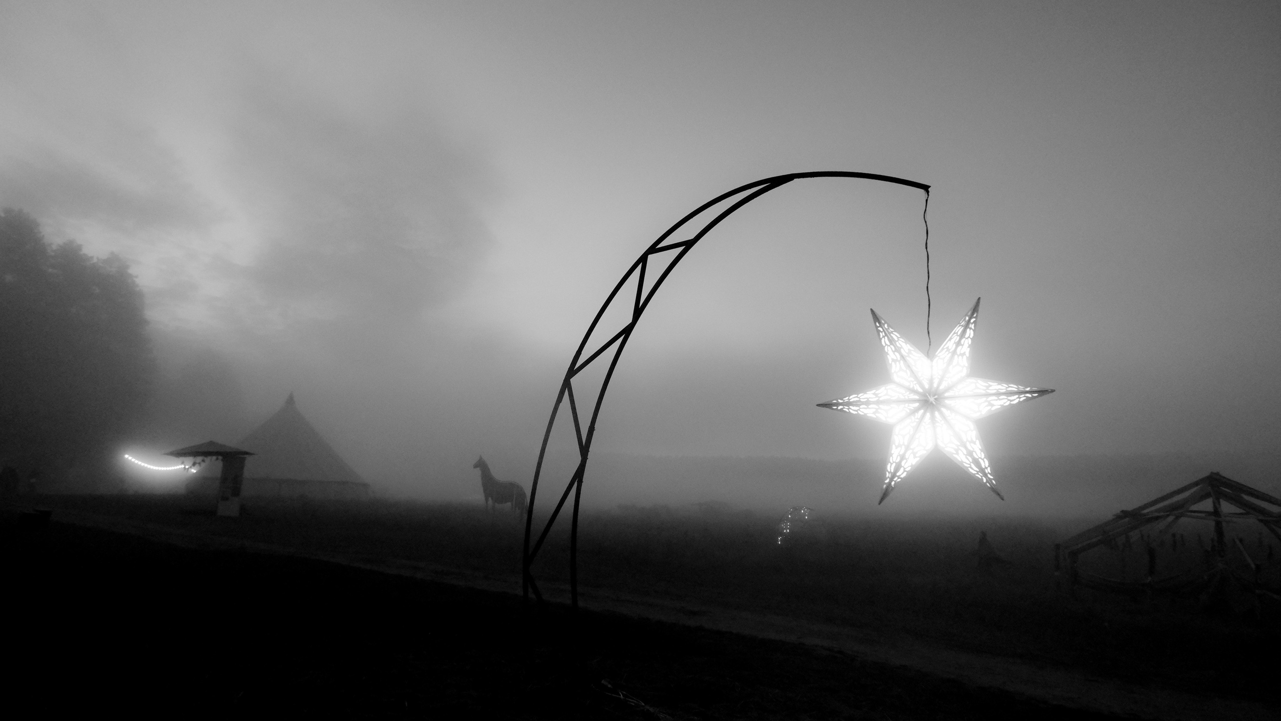 Insomnia2024. Фотограф и видеограф Апокина Мария Москва