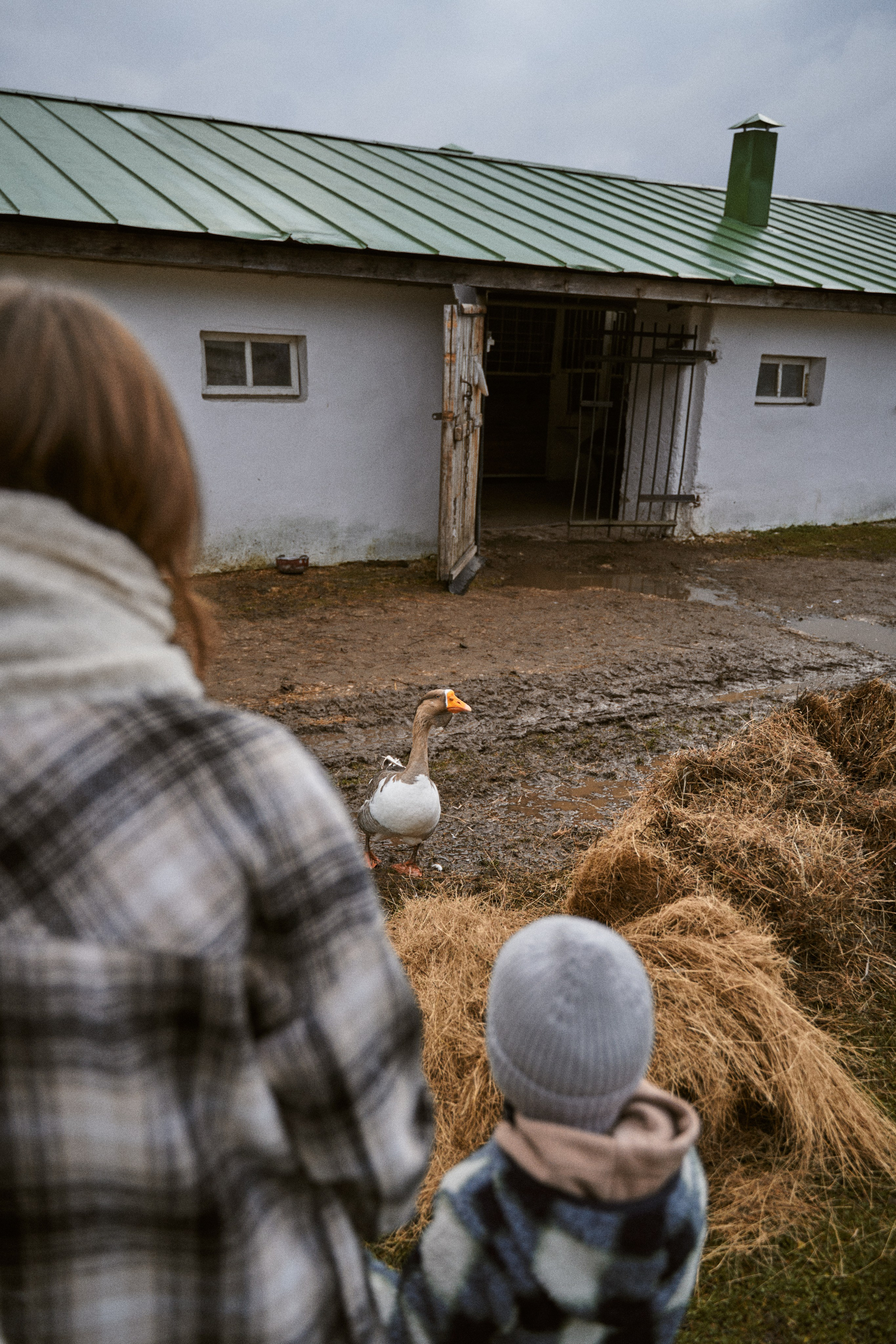 Осень в Ясной поляне. Фотограф в Санкт-Петербурге | Аня Маленчук