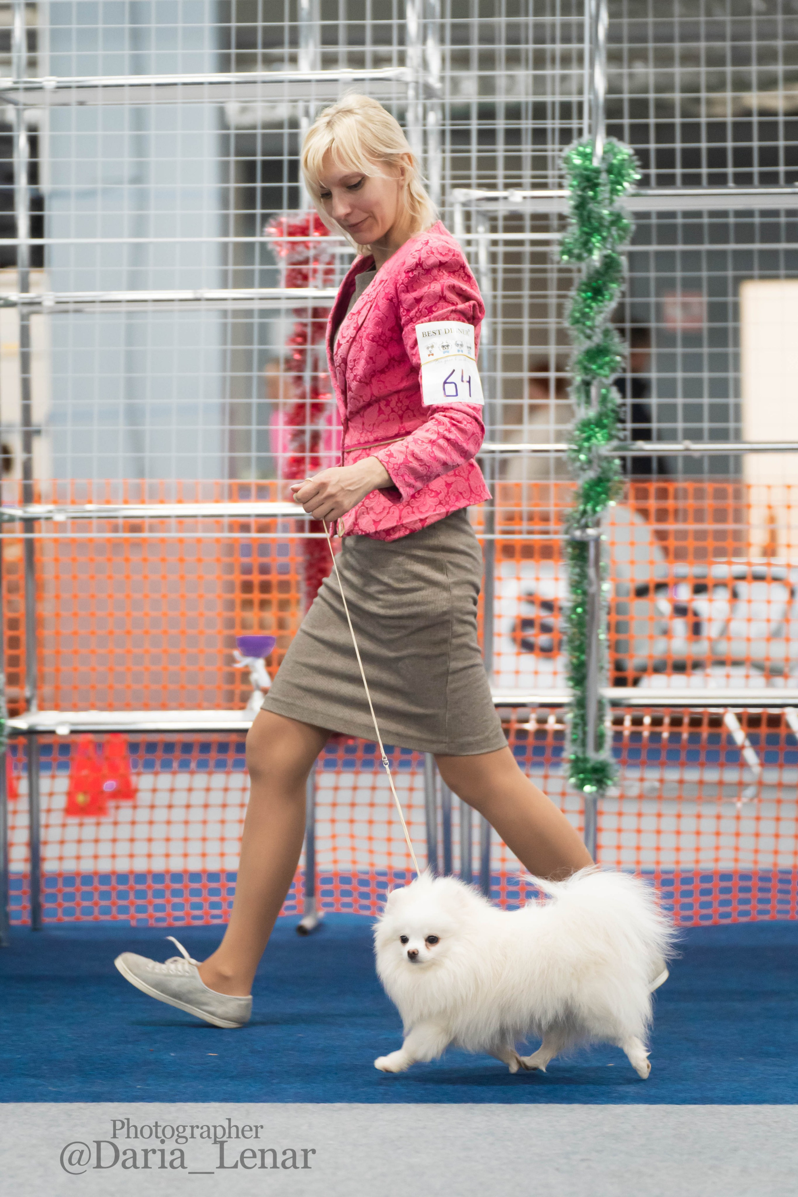 Выставки собак. Фотограф в Москве Ленарская Дарья