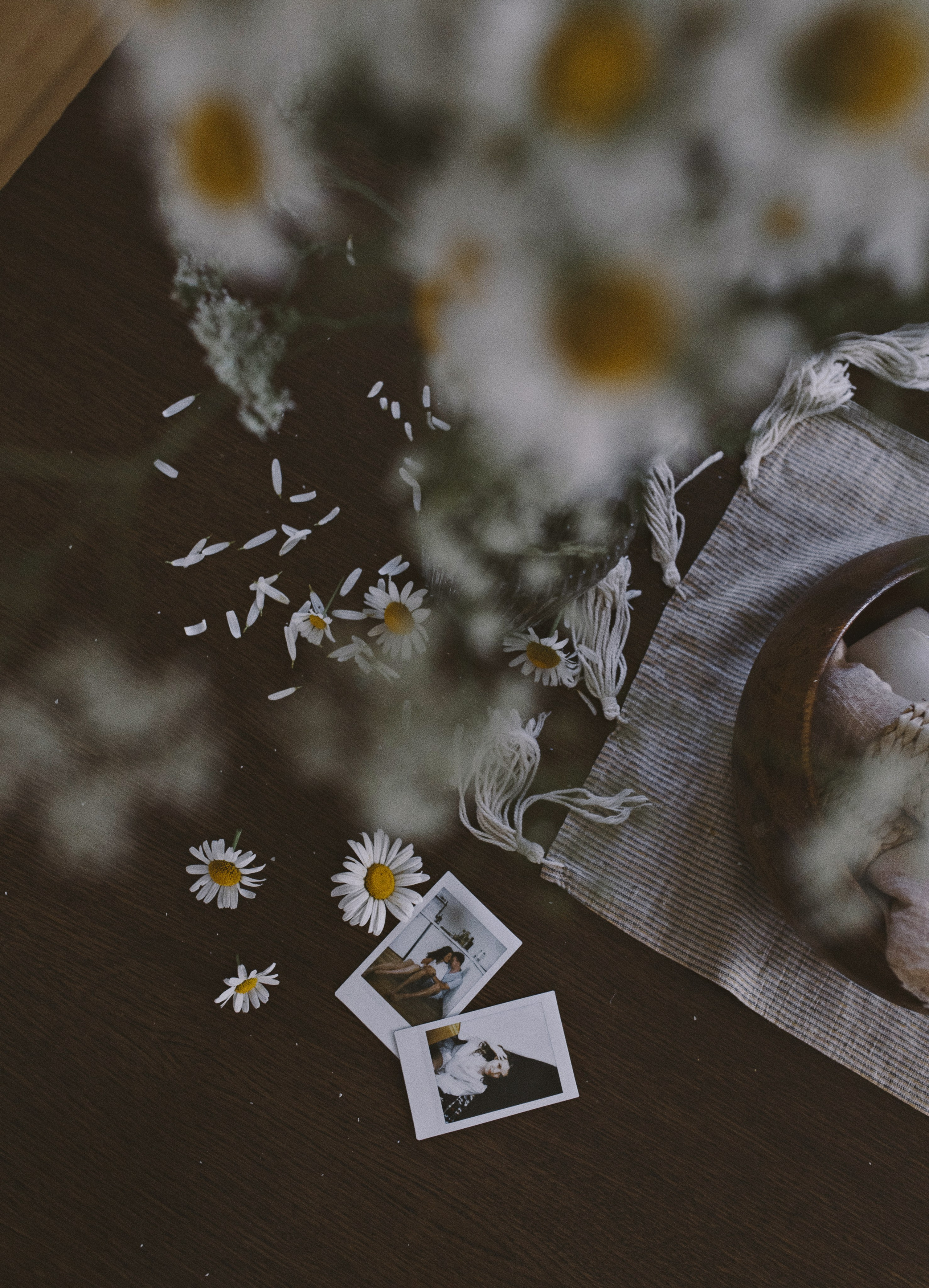 Во всем виновата яичница