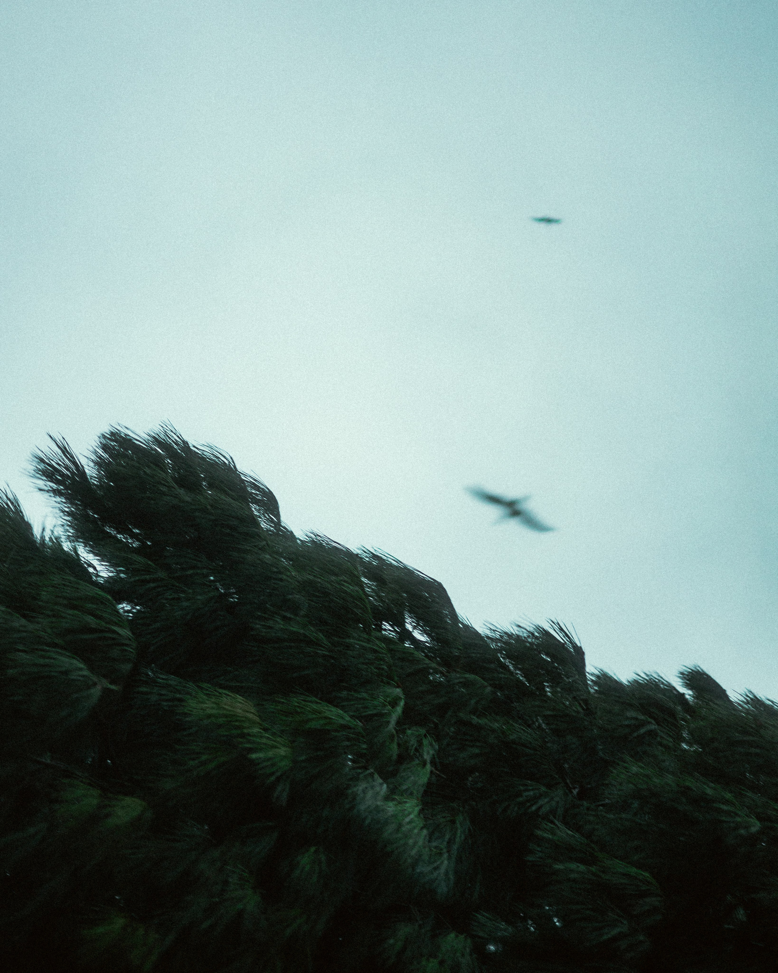 Фотограф Грачев Никита