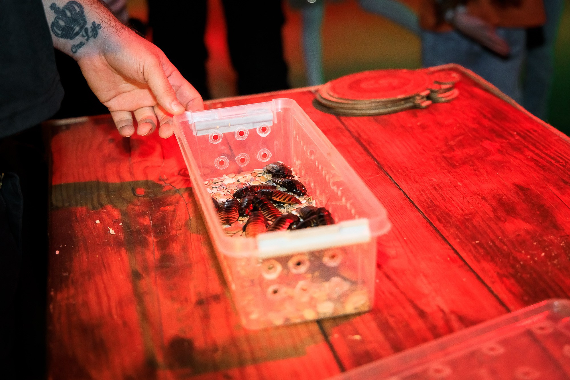 Фотосъемка детского дня рождения на квесте. Фотограф в Саратове Ольга Мазлова