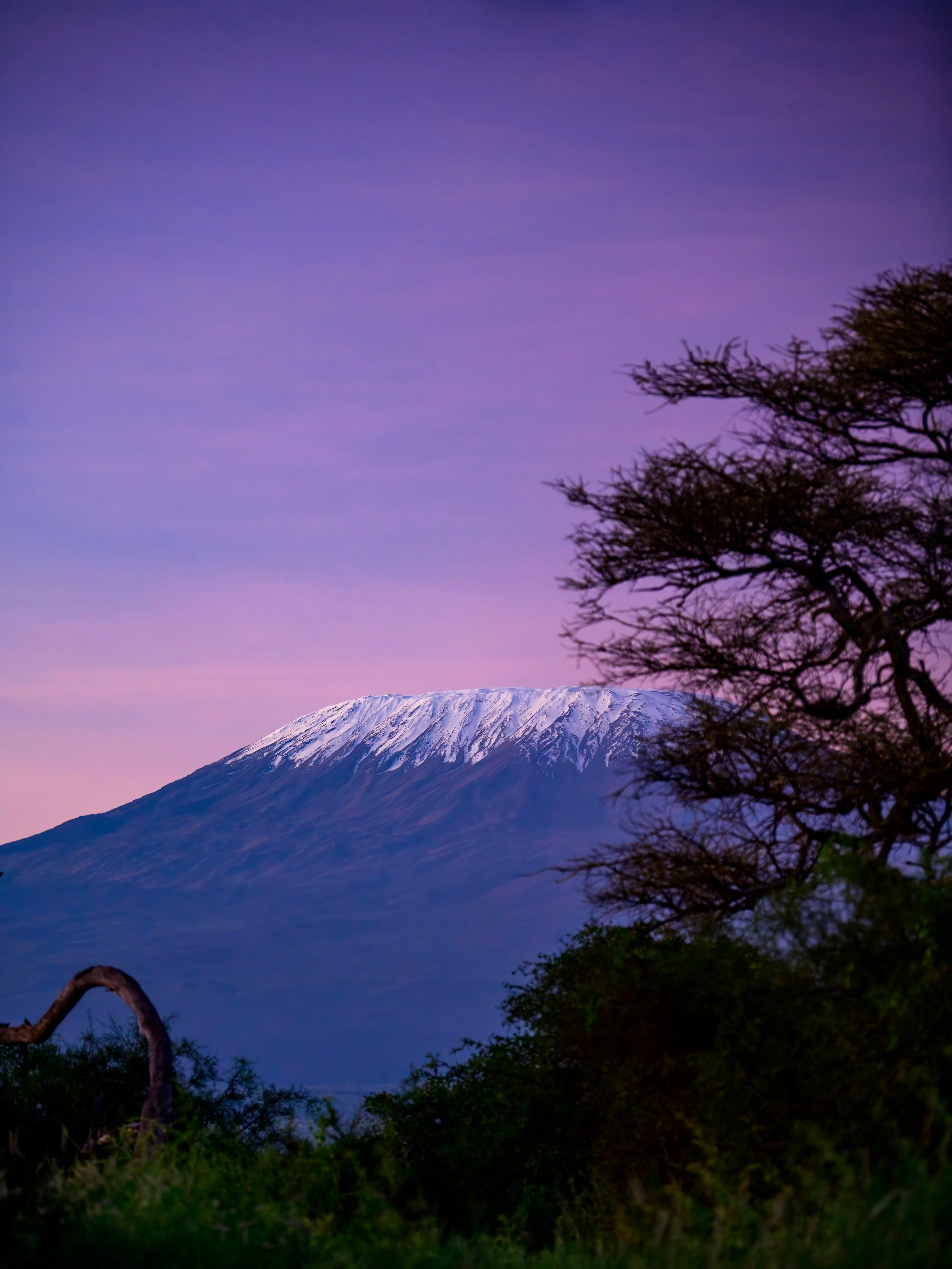 Кения. Wildlife photography by Sergey Puponin