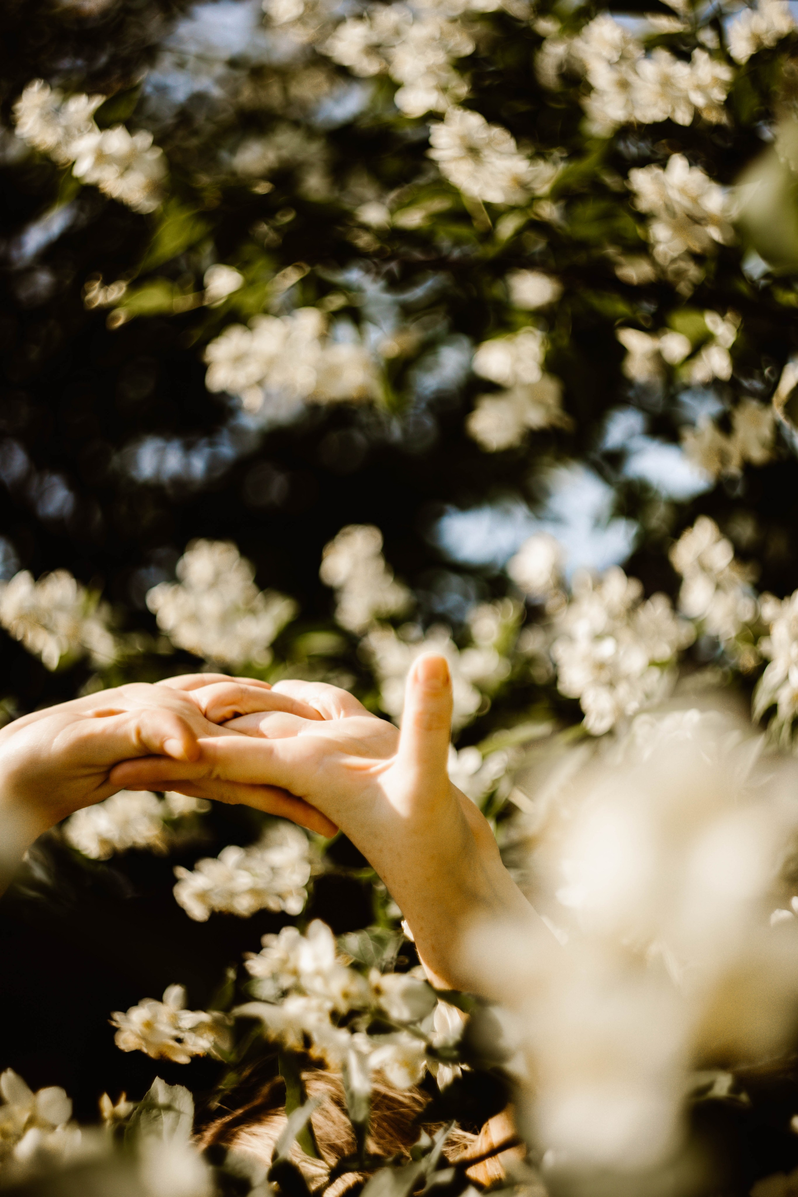 Таня в Жасмине. Фотограф в Нижнем Новгороде
