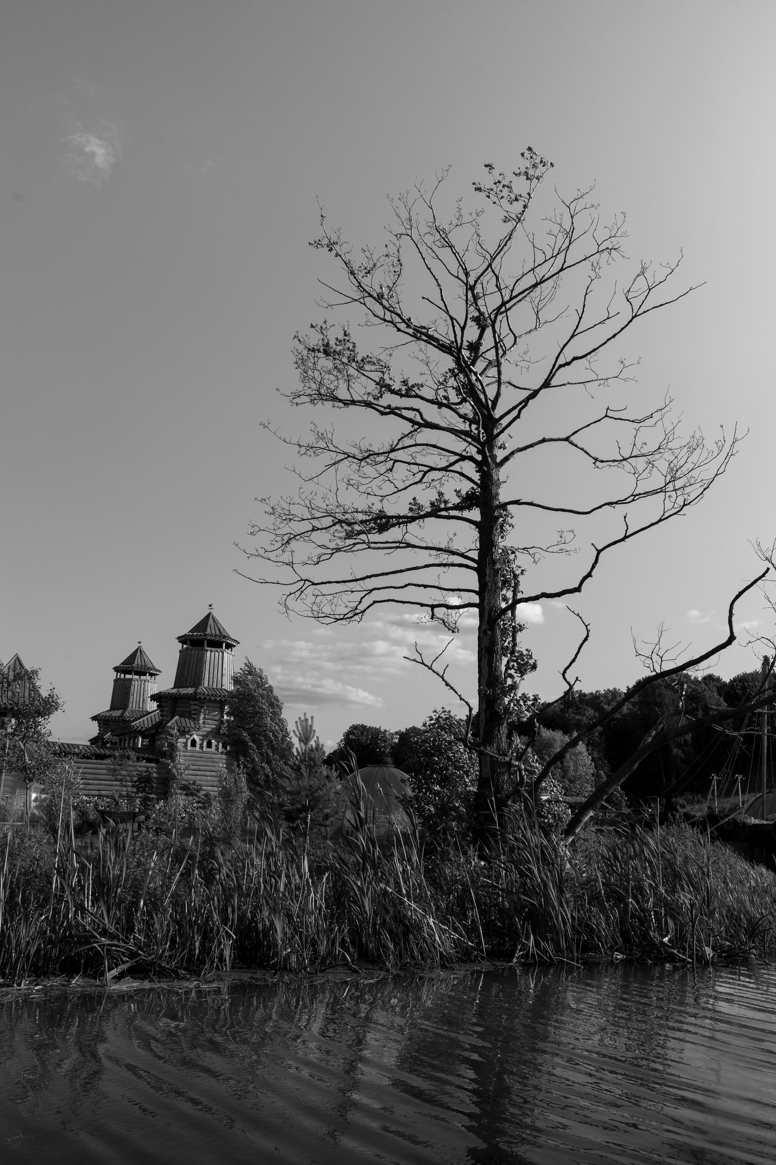 Арина и Владислав. Свадебный Фотограф Максим Пустовой