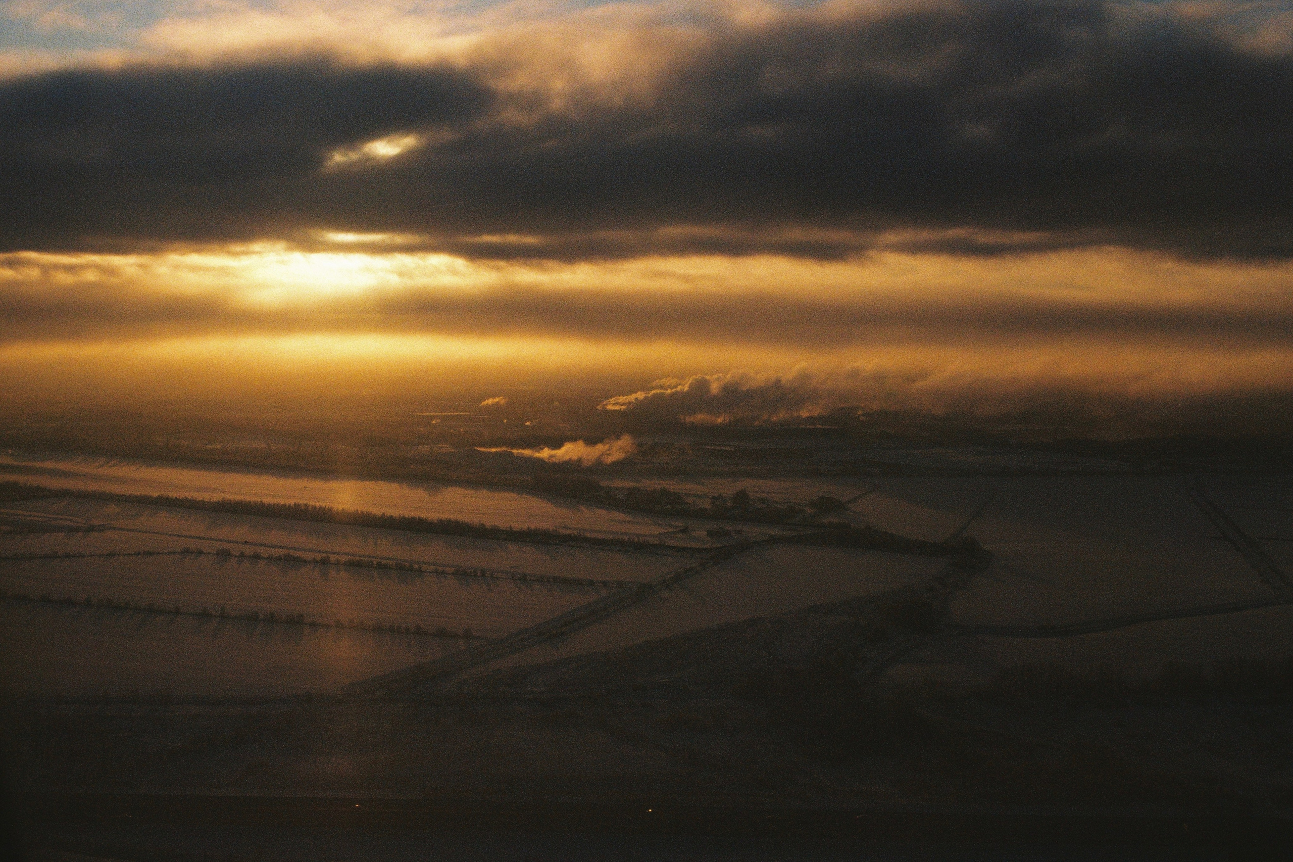 Grain. Artem Khusainov