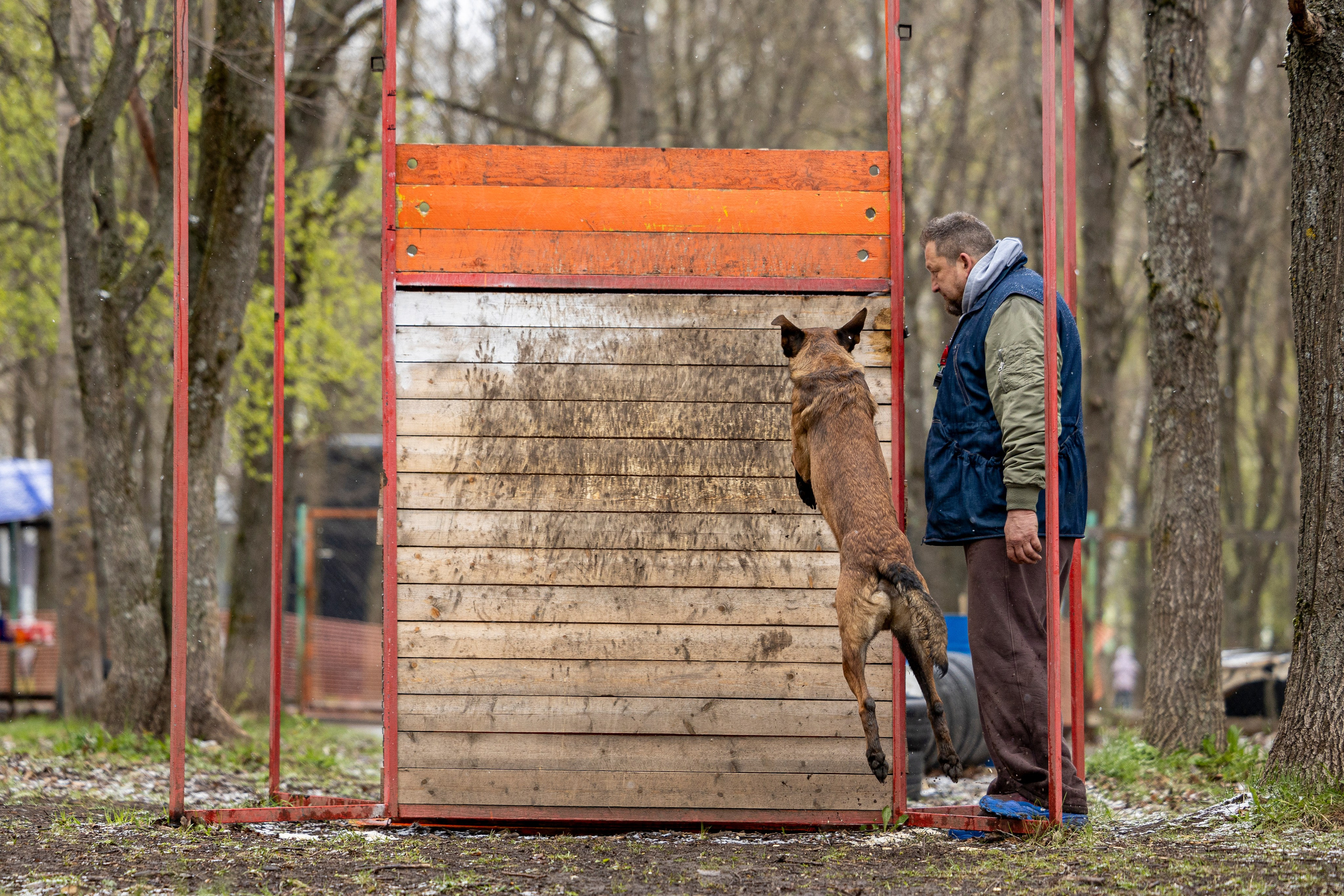 Квалификационные состязания по мондьорингу г. Вологда 11.05.24. Фотограф-анималист Анна Маринич