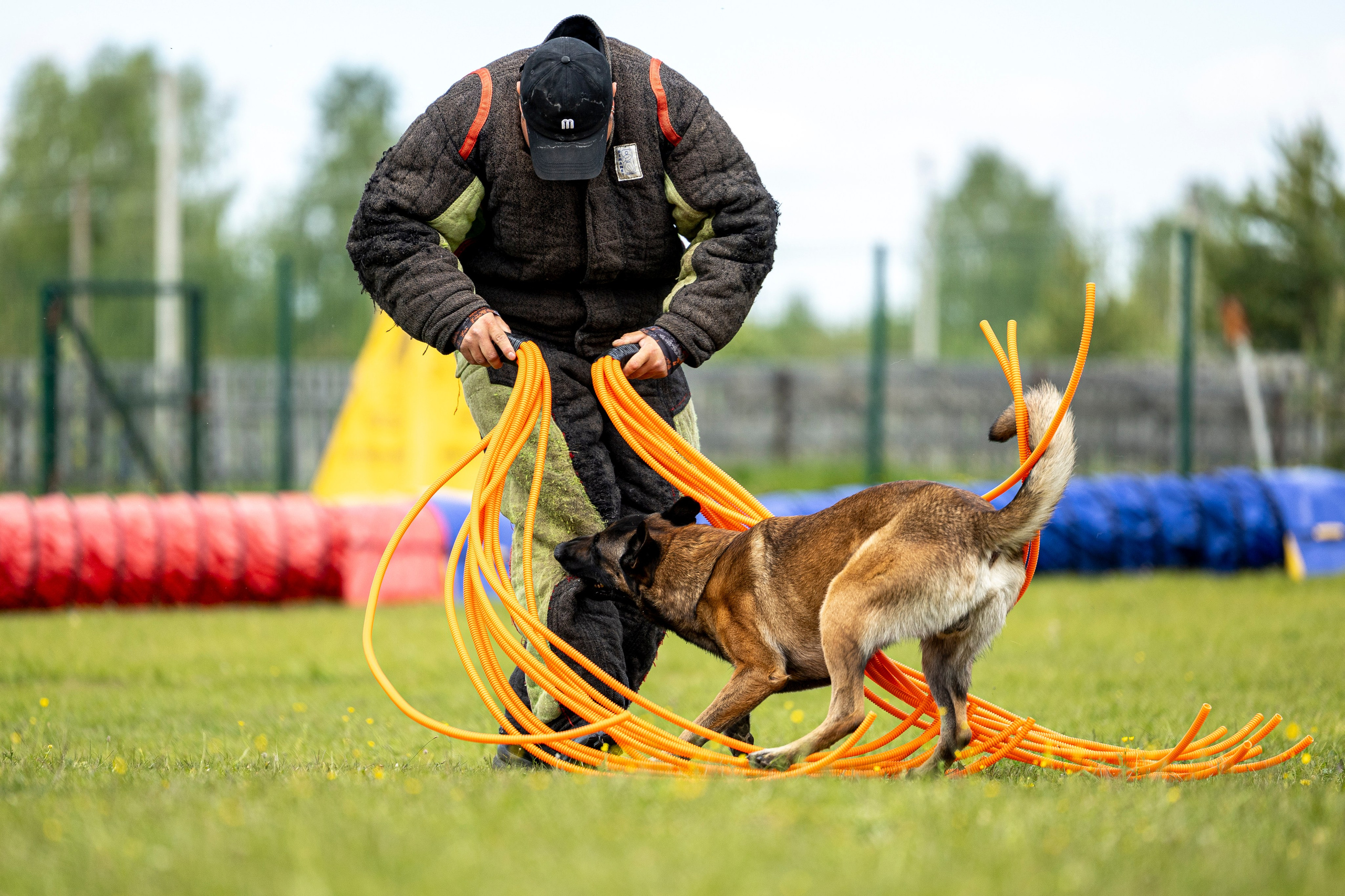 Испытания по мондьорингу в Нижнем Новгороде. Фотограф-анималист Анна Маринич