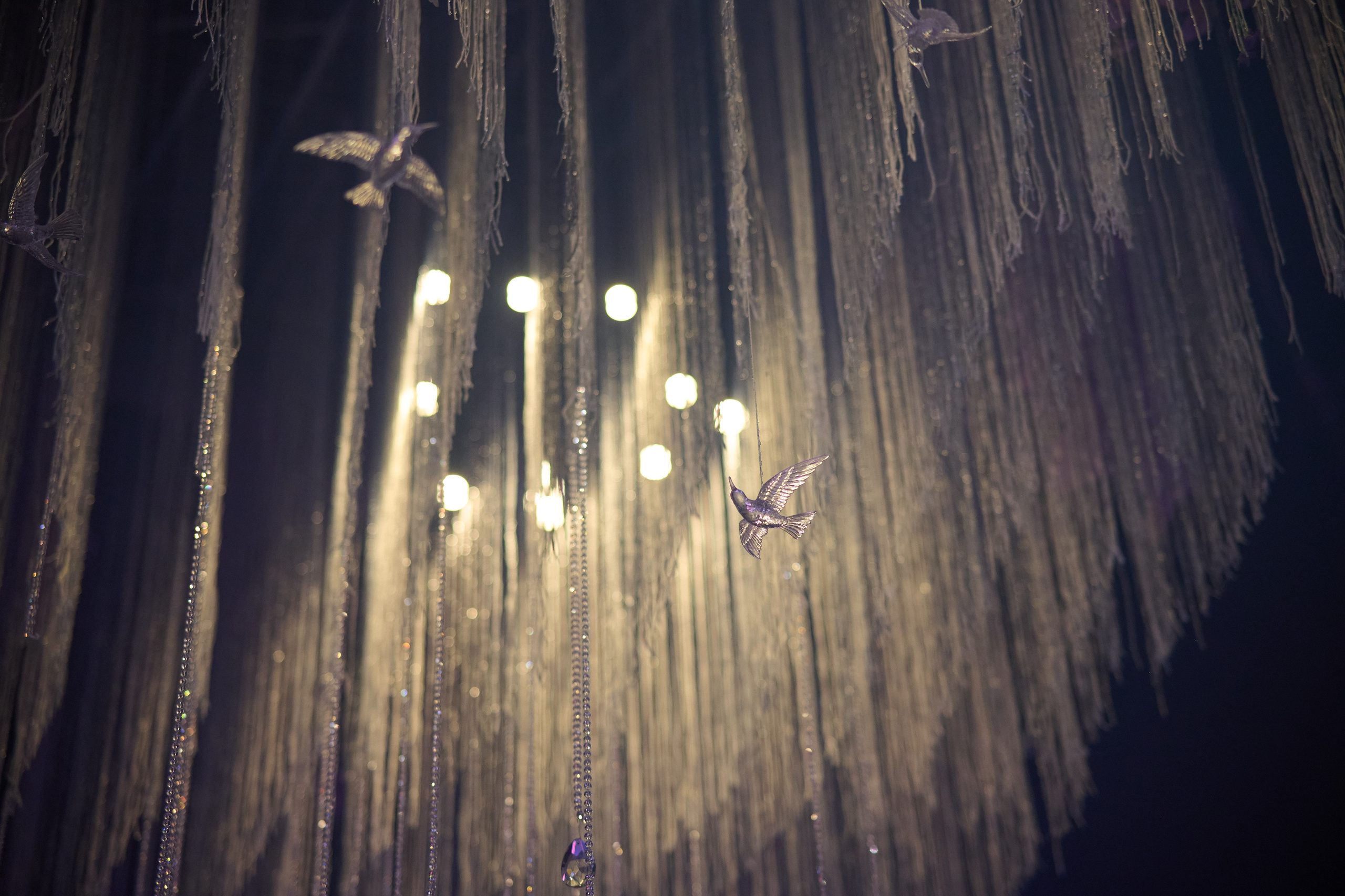 Колибри. Репортажный фотограф в Москве и Санкт-Петербурге — Профессиональная съёмка мероприятий | Данила Золкин