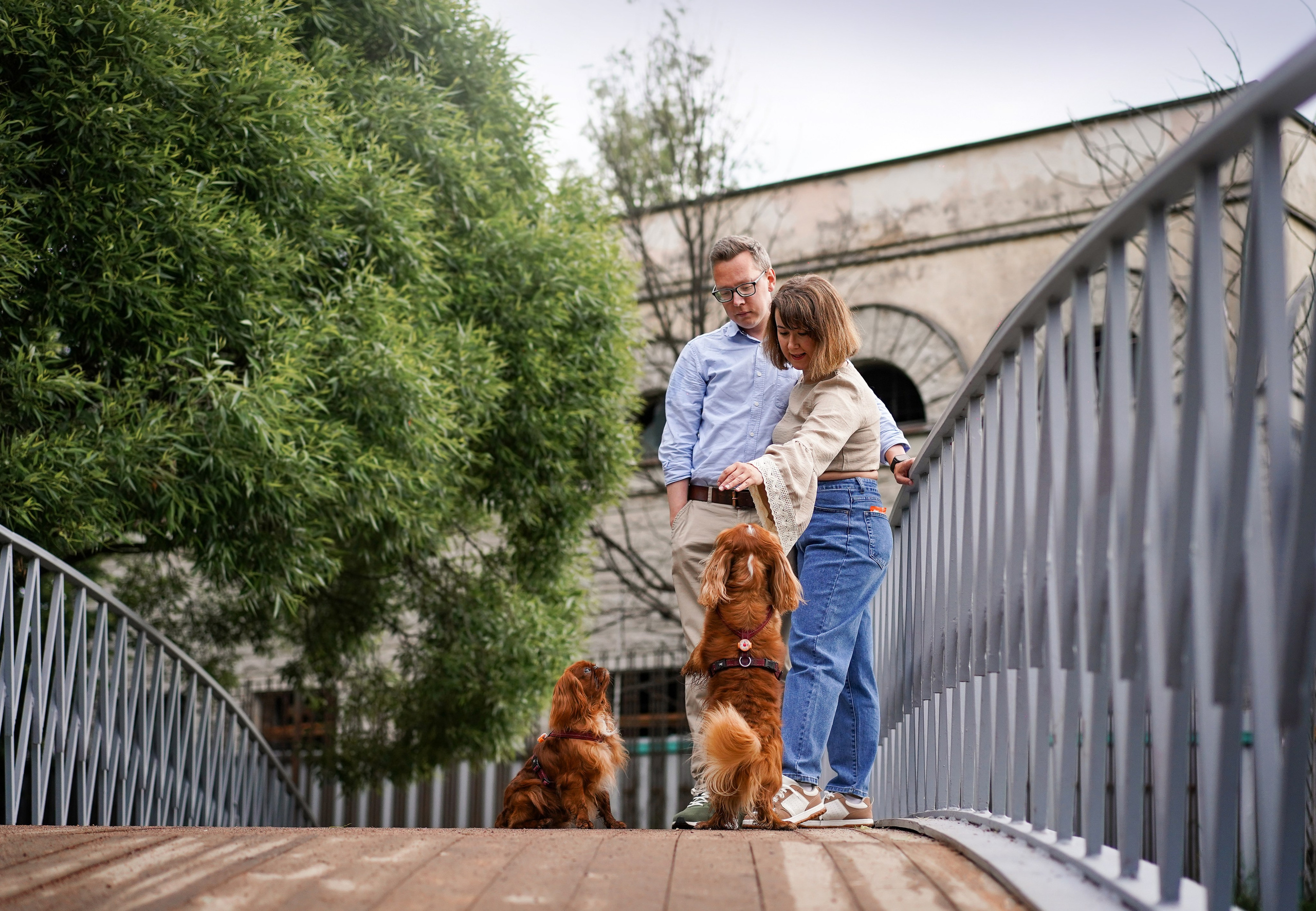 Юля Володя Гарри и Верон. Фотограф-анималист в Санкт-Петербурге Яна Мартынова