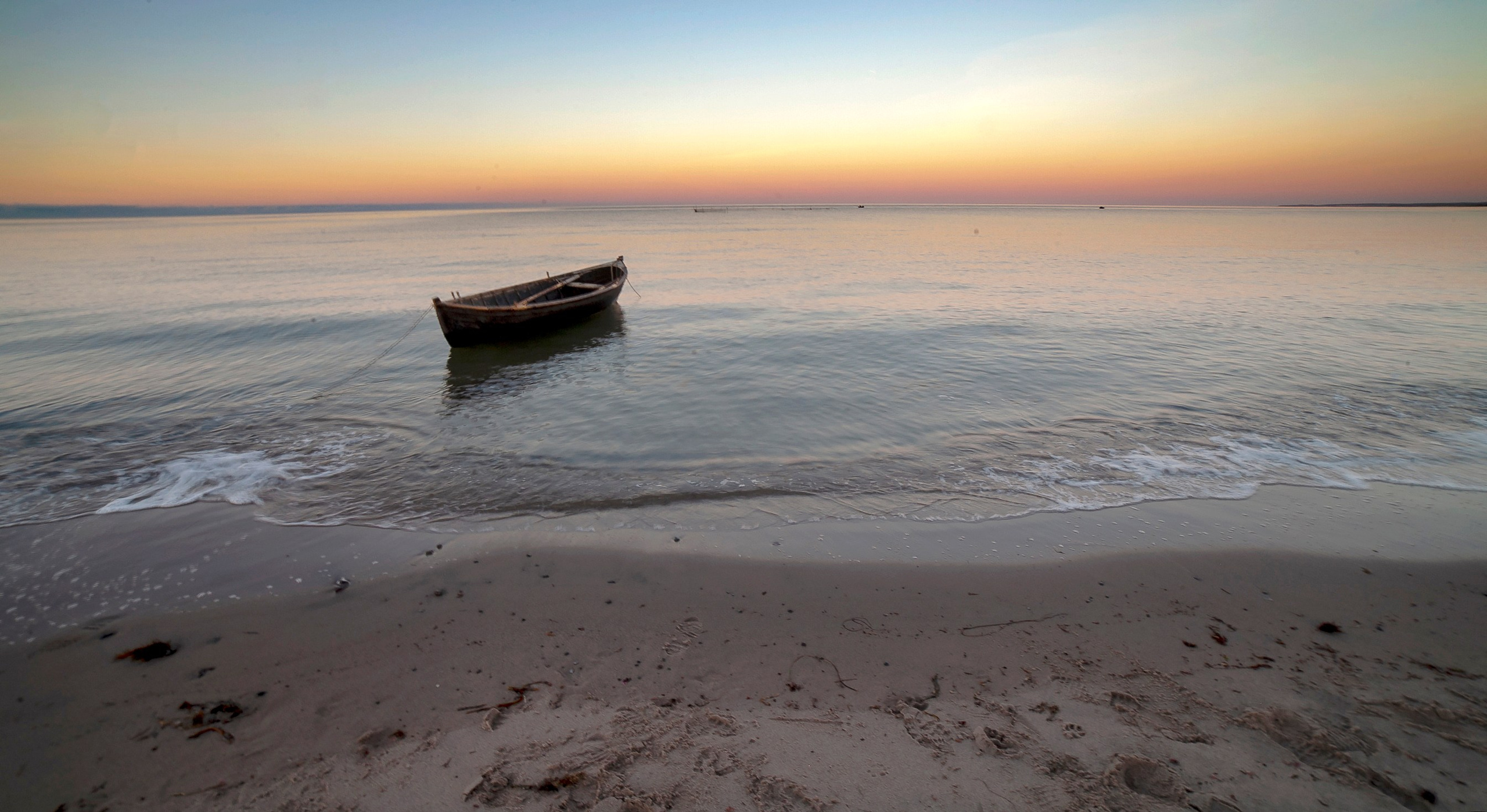 Фото. Ильнур Таминдаров