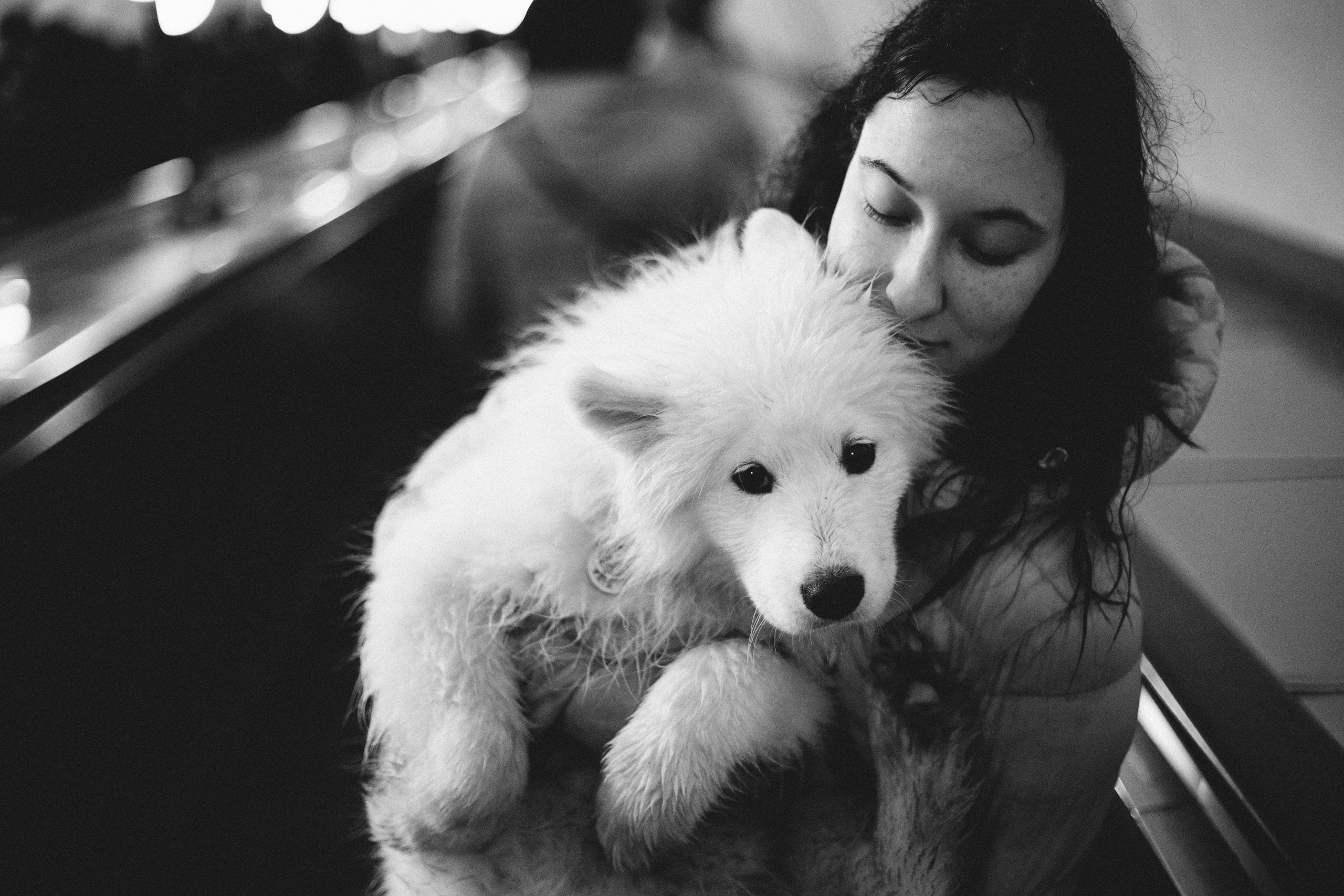 Кая и Даяна. Фотограф анималист в Москве Майорова Евгения