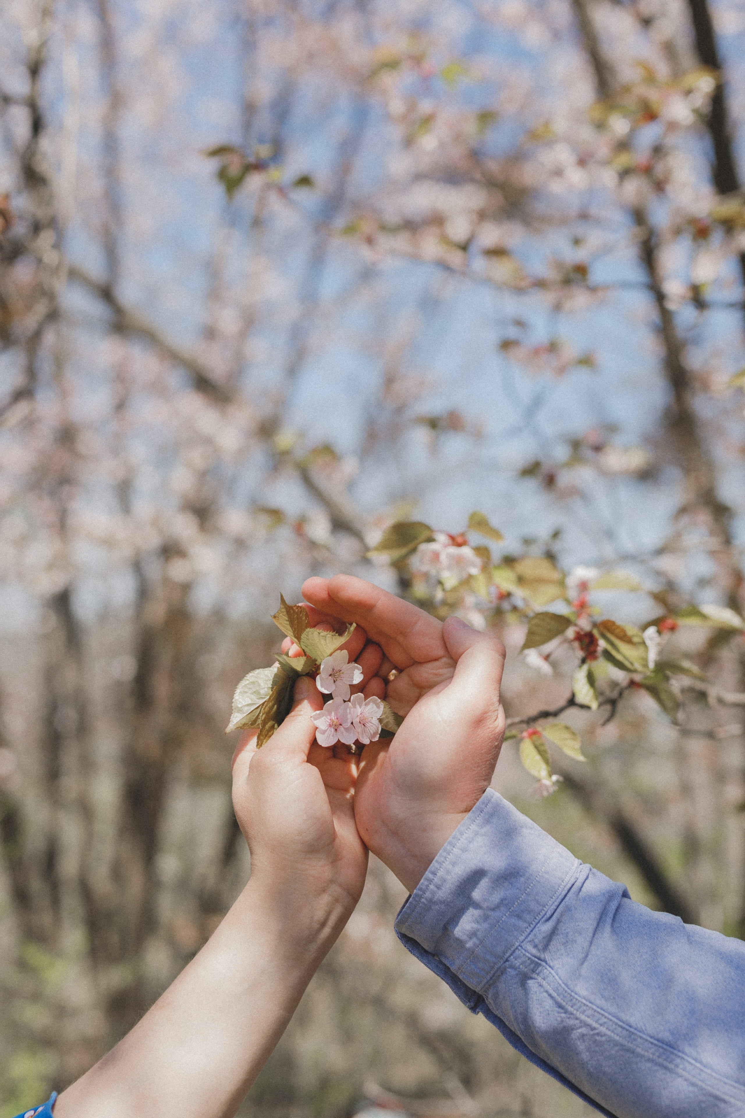 Весна и любовь ♡. Свадебный и семейный фотограф во Владивостоке Овчинникова Дарья