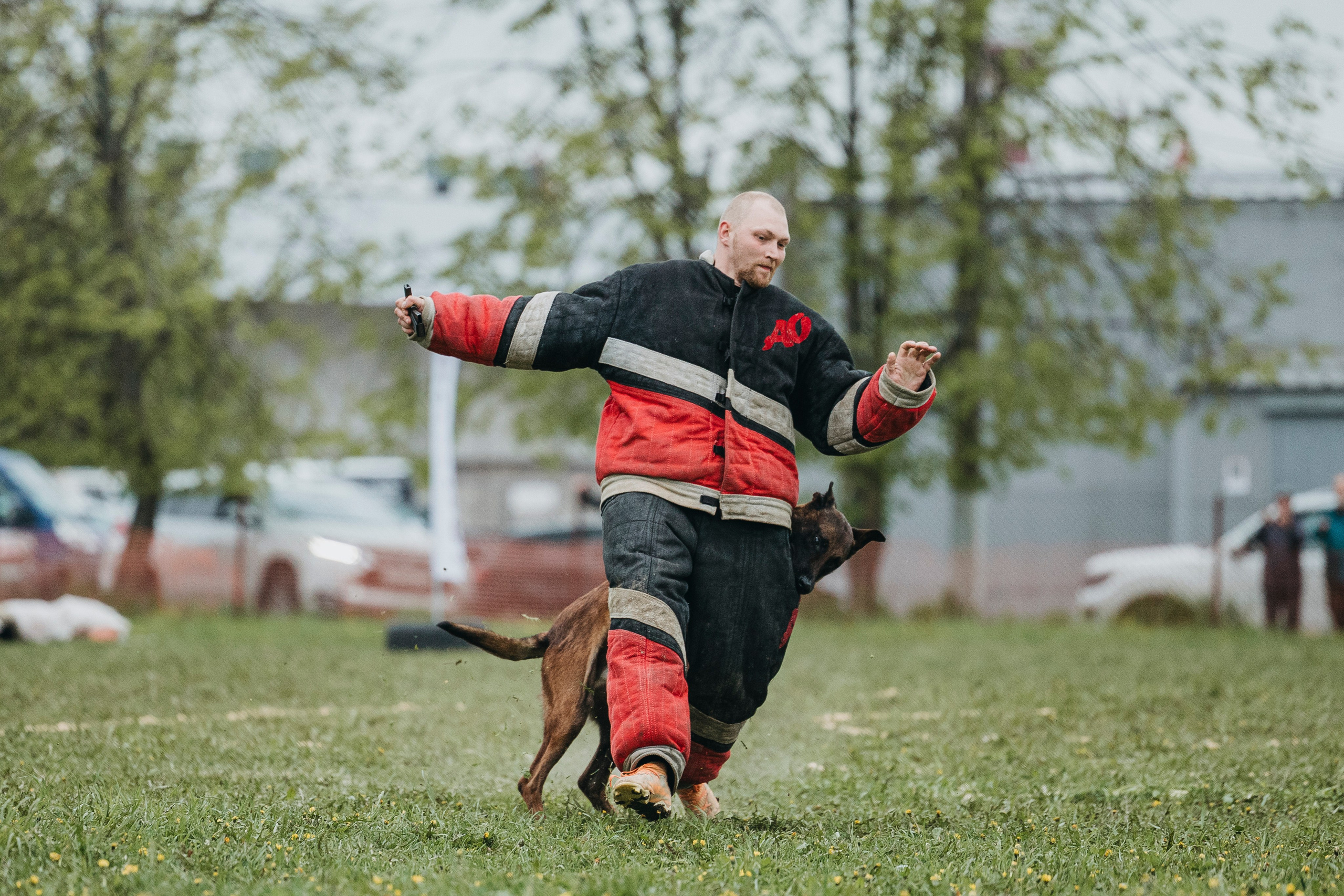26.05.25 г. Пушкин квалификационные соревнования. Фотограф-анималист Анна Маринич