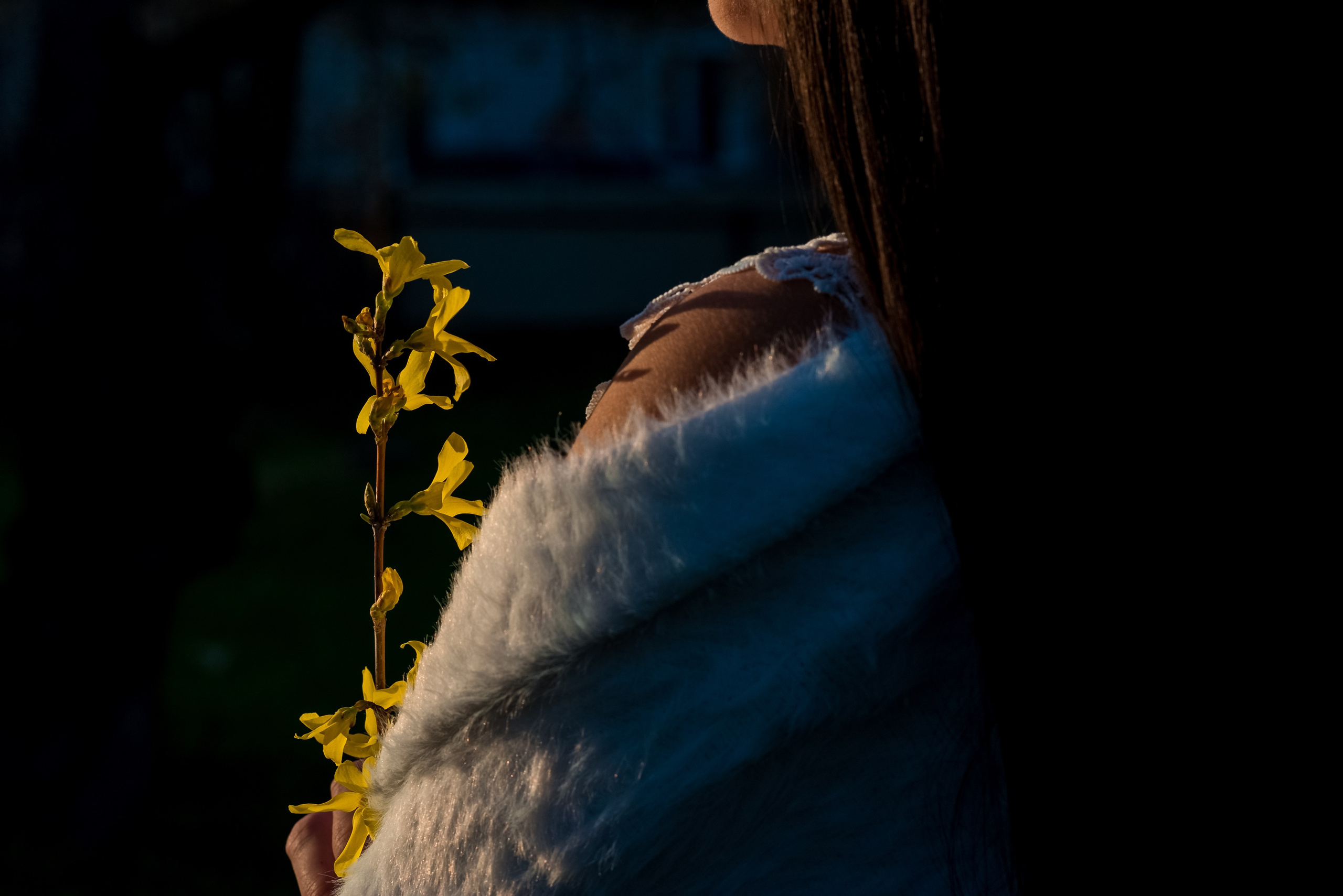 Солнечная Форзиция. Женский фотограф Крещение Венчание Москва Брянск
