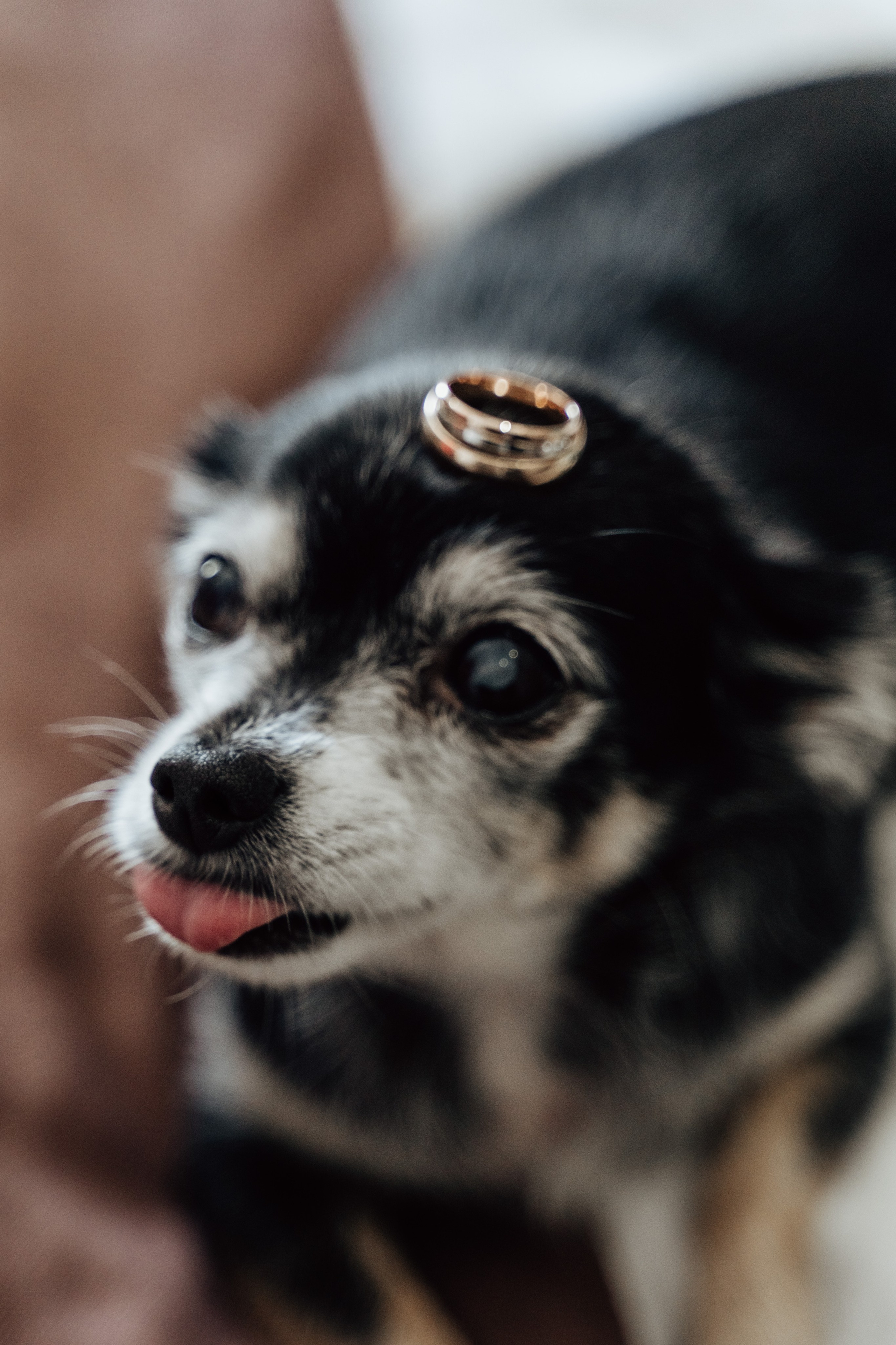 Свадебные съёмки. Фотограф Диана Семенова