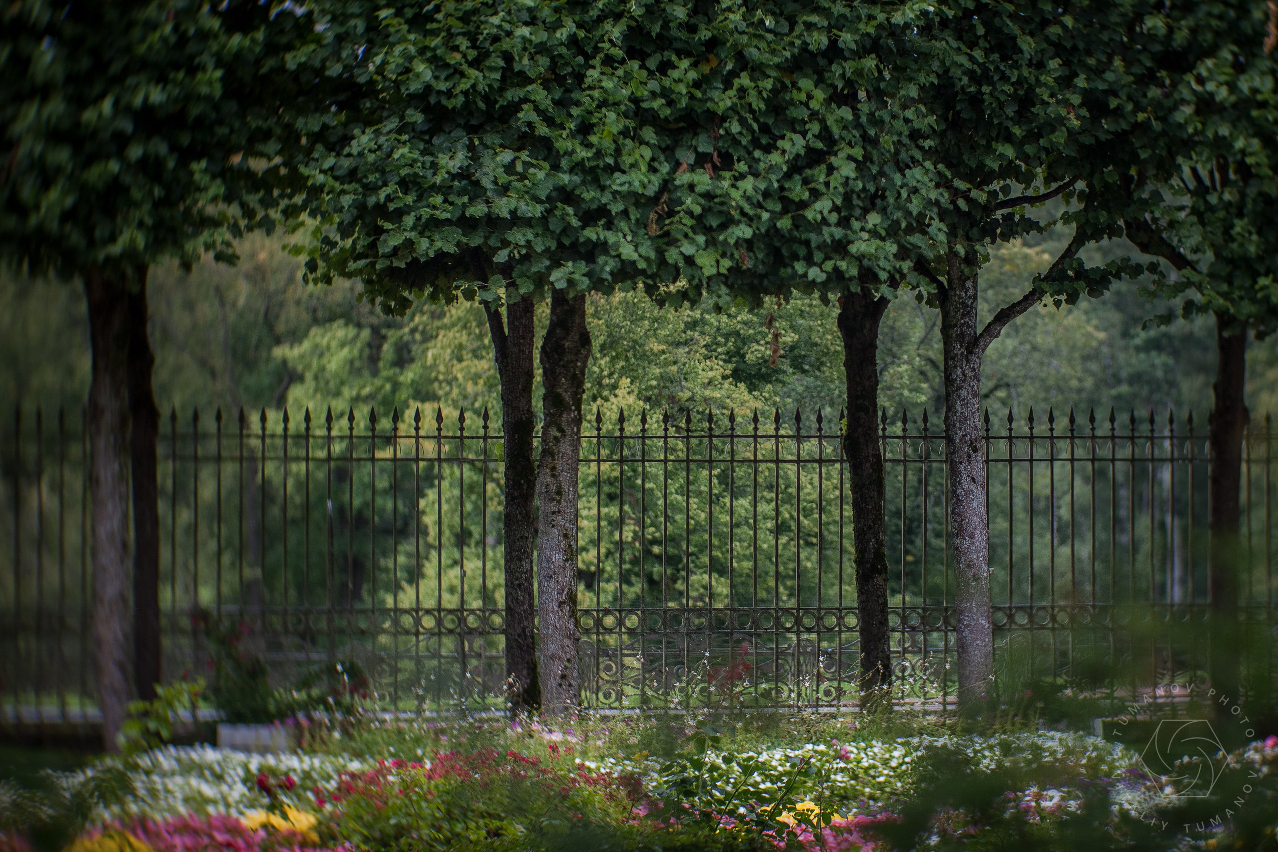 Ландшафтная фотография. Виталий Туманов — Ландшафтный фотограф