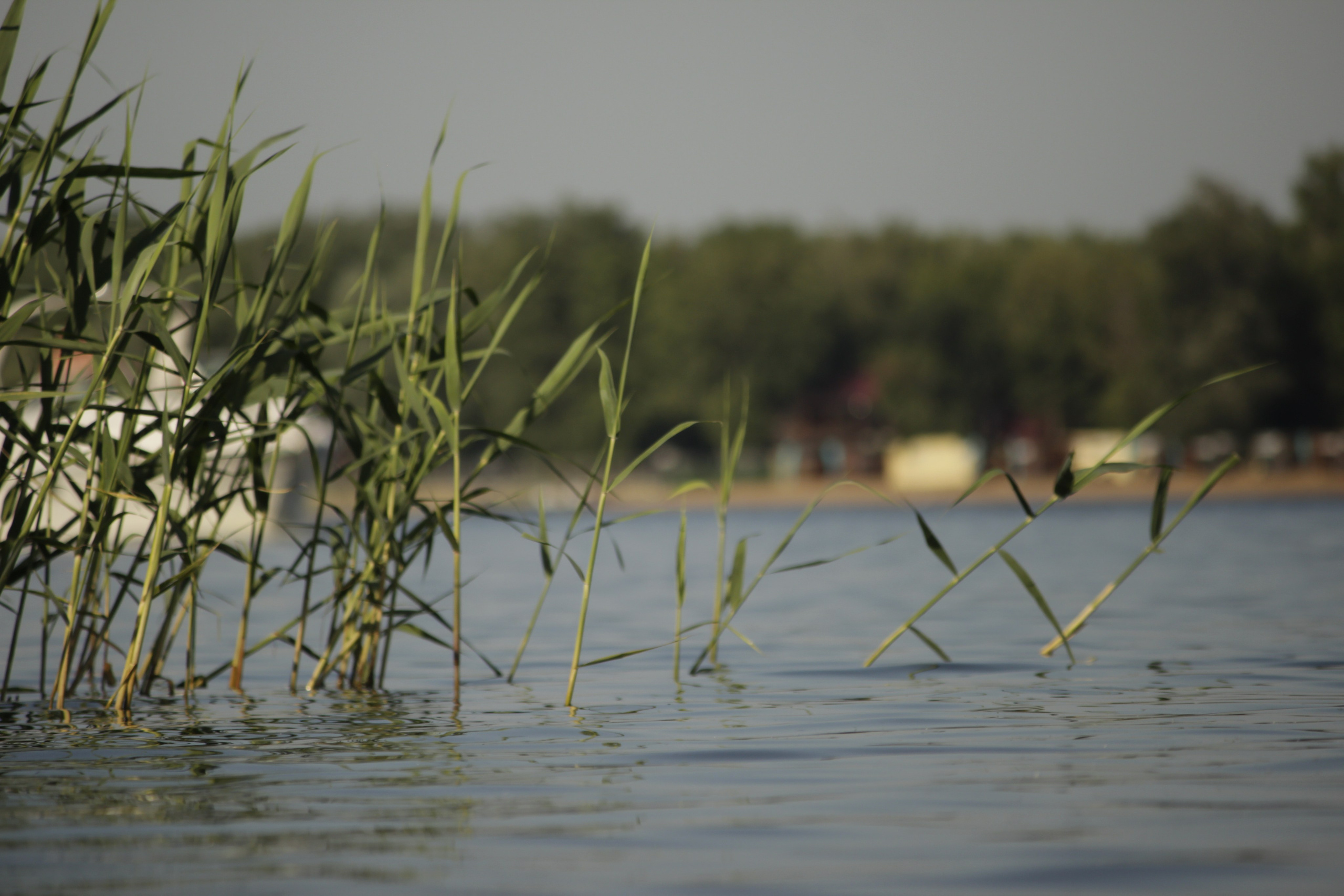 Сёрфинг в Саратове!. Фотокрыжовник. Снимаем, дружим, путешествуем