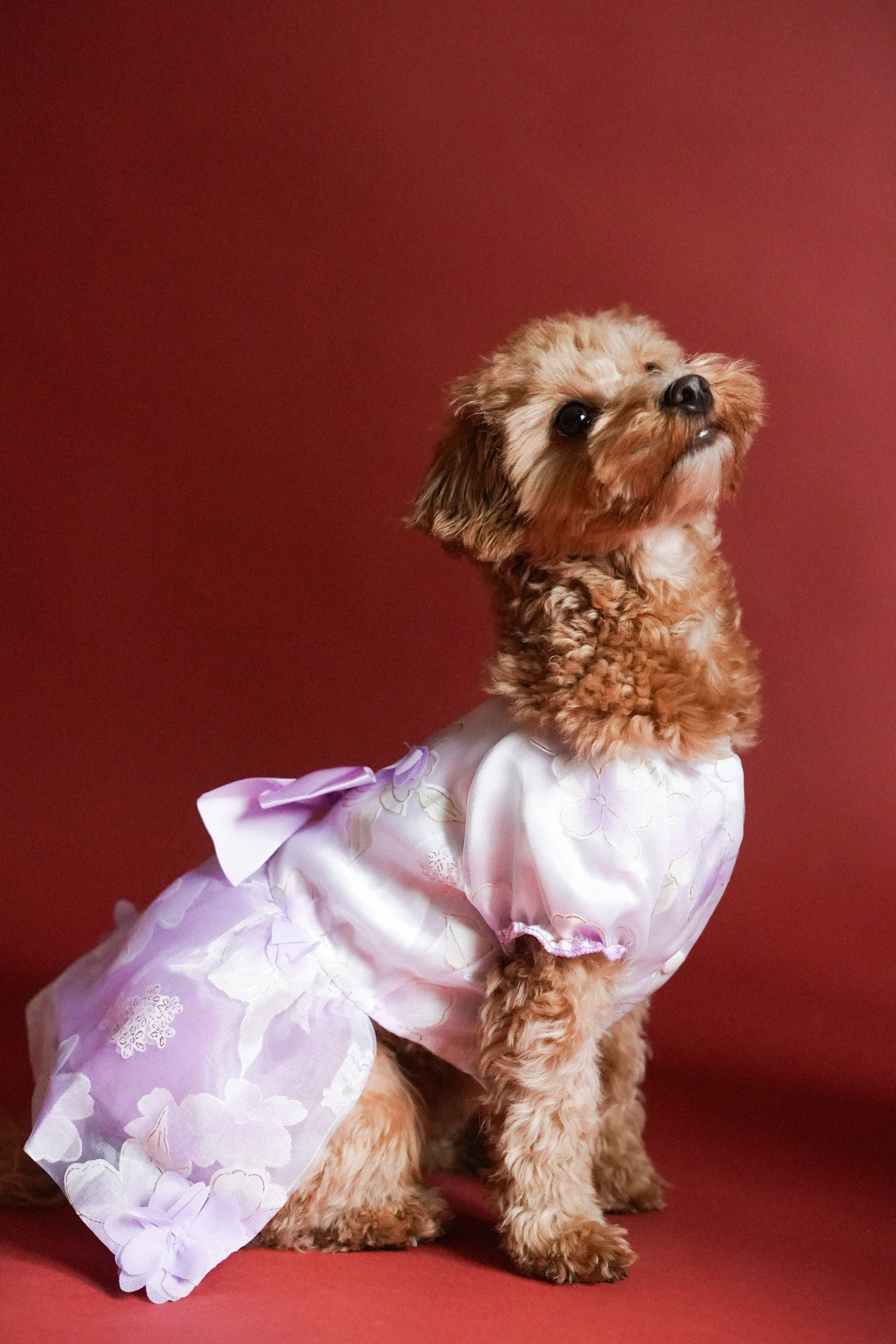 Индивидуальные съемки #3. Концертный и репортажный фотограф Ханты-Мансийск Воинская Татьяна