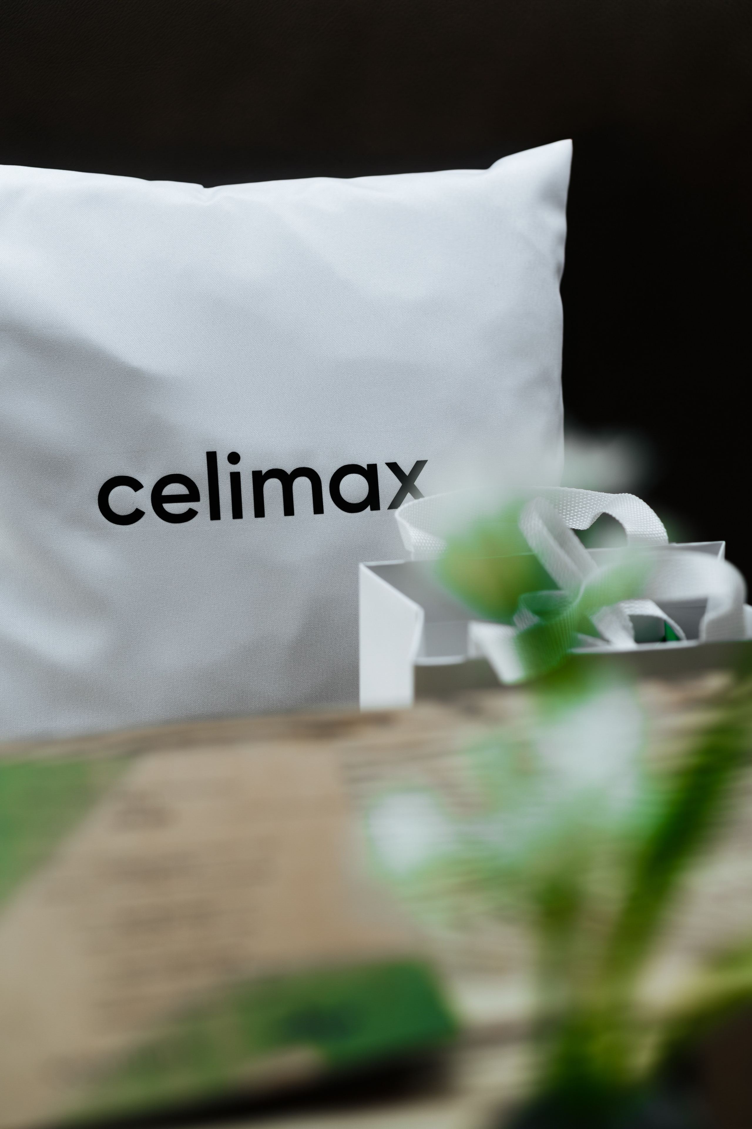 She x Celimax. Контент фотограф Виталий Морозов г. Москва