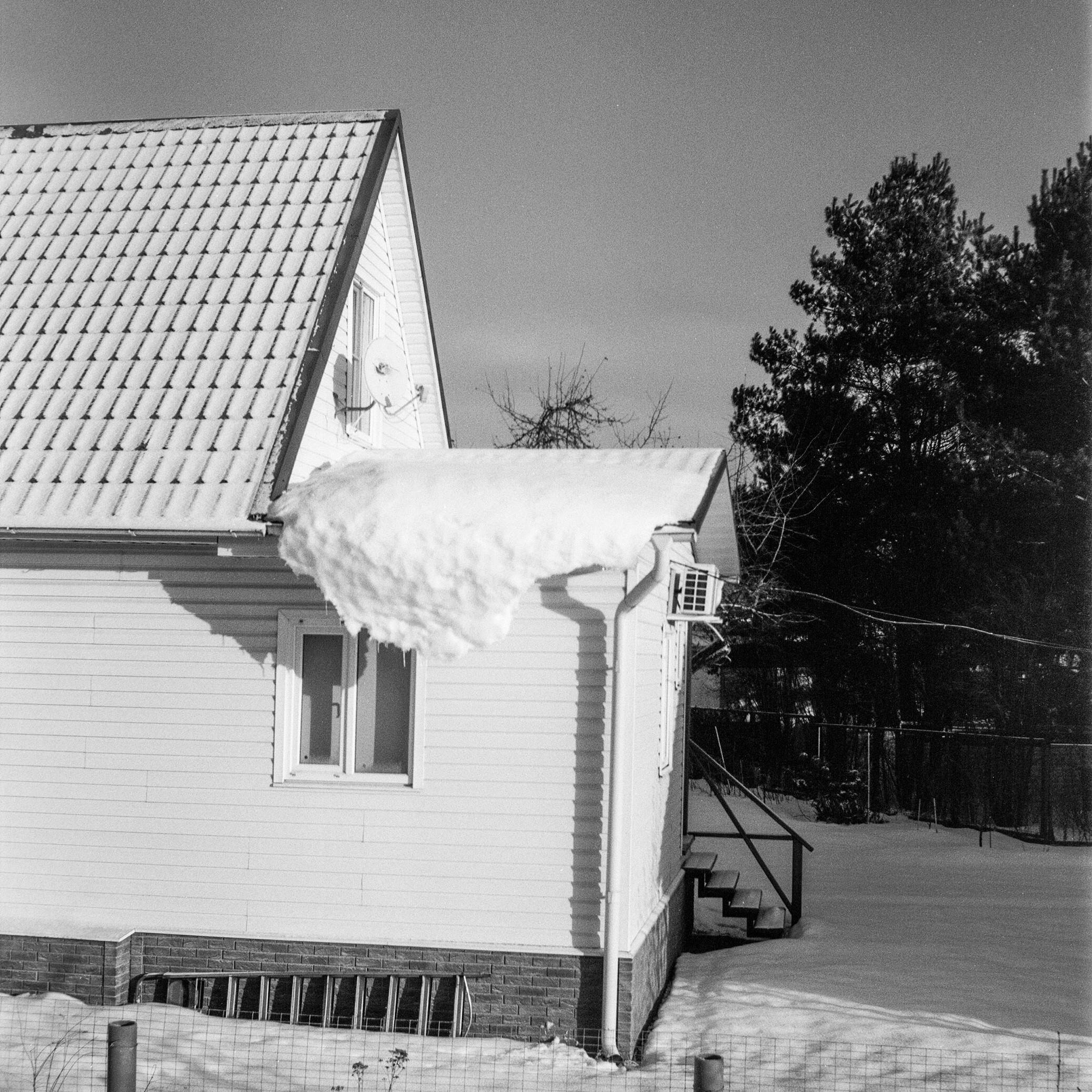 Minox 35GT / Тасма Т-25 ISO 100 / Давыдовское, Лукино