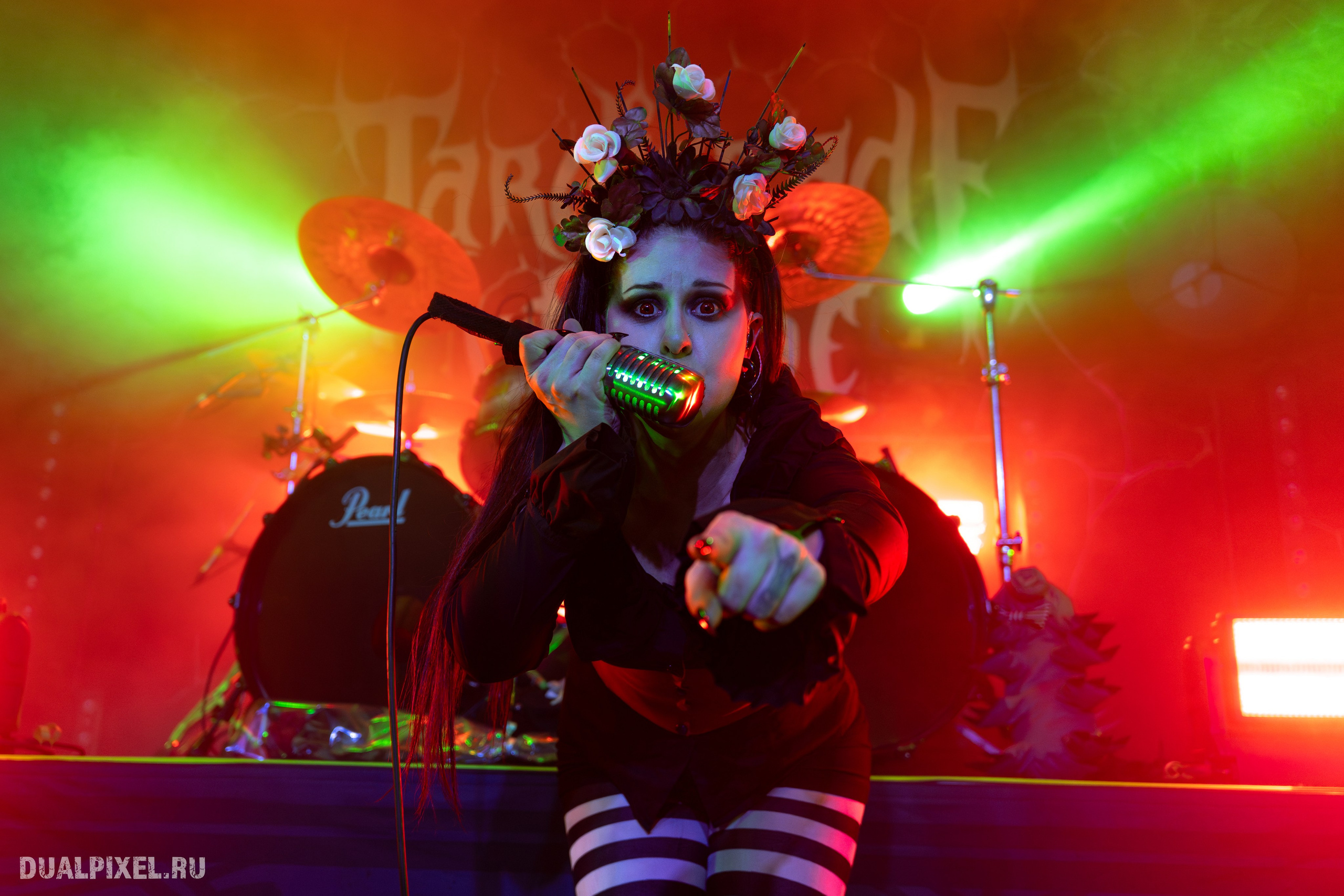 TARDIGRADE INFERNO. Магия музыки в кадре: Концертная Фотография