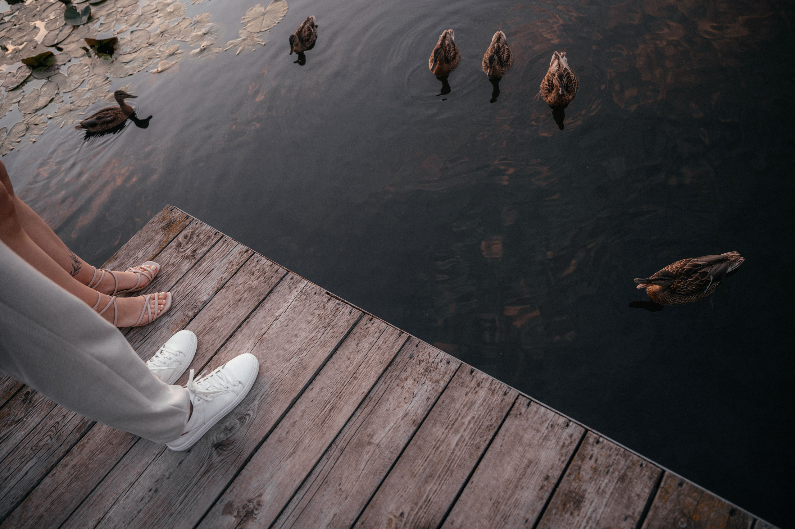 Ваня и Алина. Свадебный фотограф Марина Жемчужникова в Москве и в Белгороде