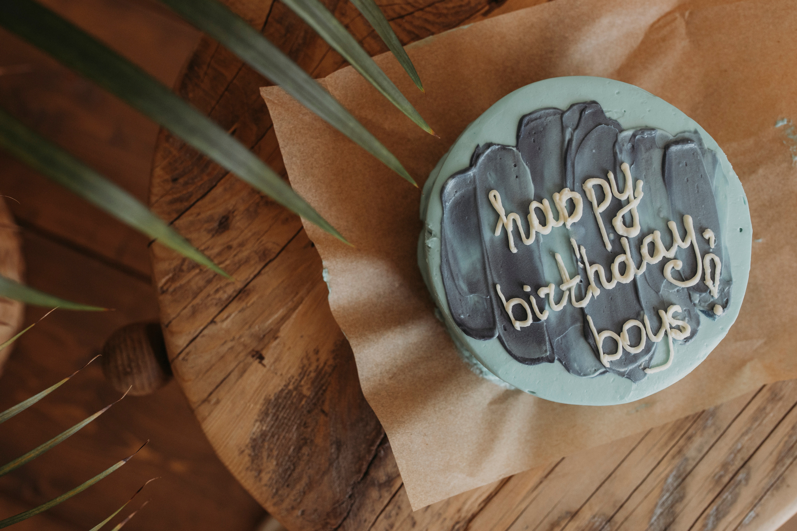 Назару и Мирону 1 год. Семейный фотограф в Краснодаре Коломыцева Евгения