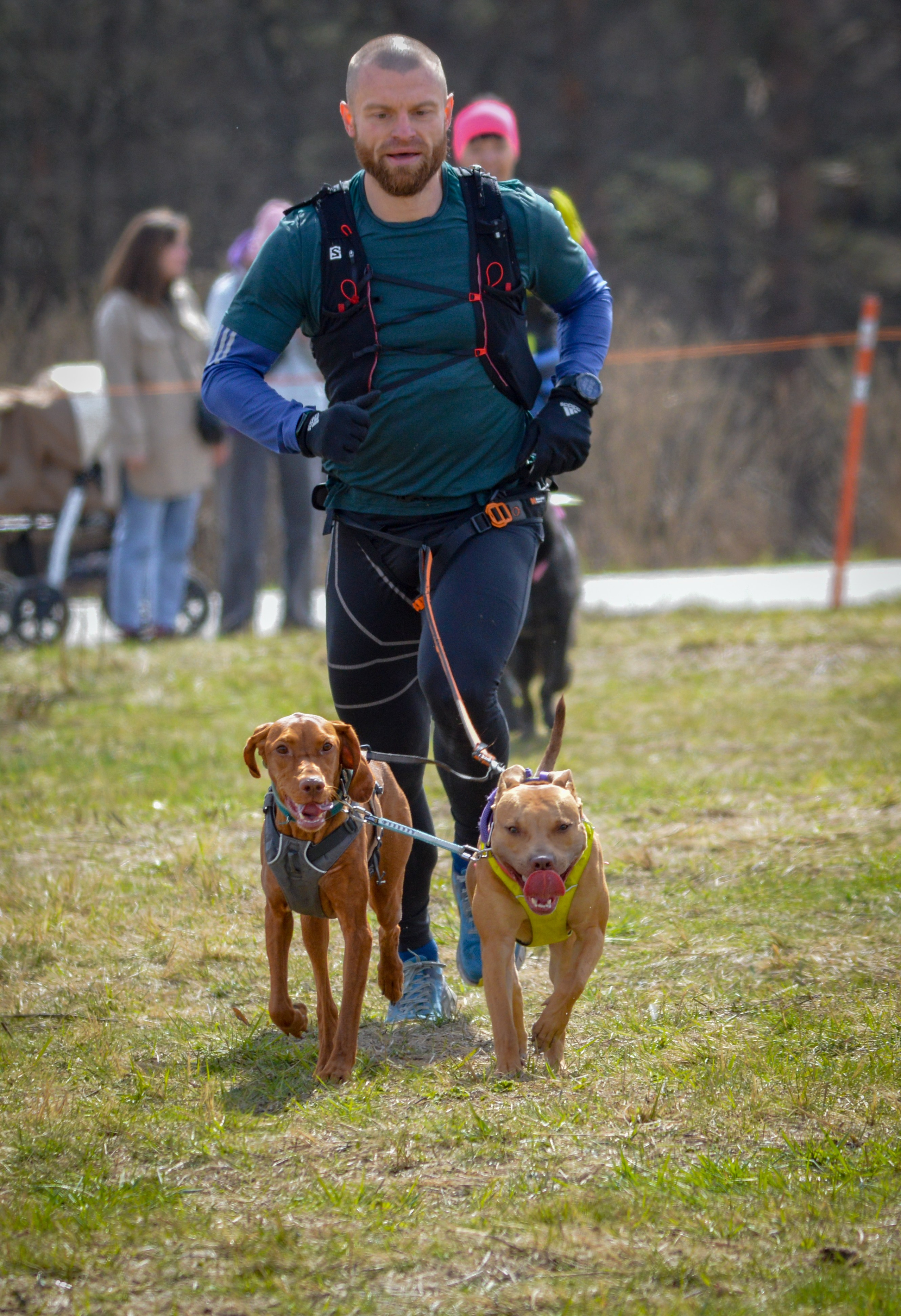 Кросс «Быстрый Пёс» — 15.04.2023. AlexFecto — галереи фотографий