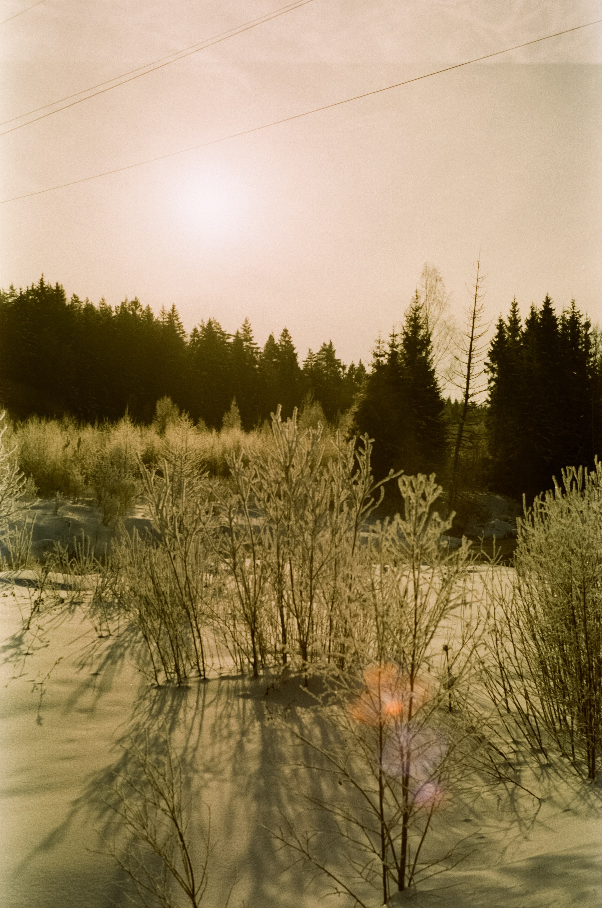 Pentax MZ-3 (1) объектив Schneider-Kreuznach Retina-Xenon 50 mm f/1.9 D