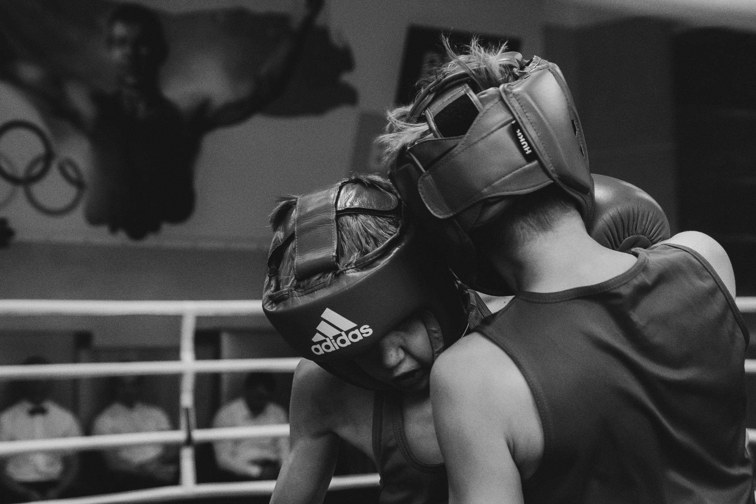 Бокс — РЗН — 26.04.2025. Фотограф в Рязани — Кузнецов Михаил