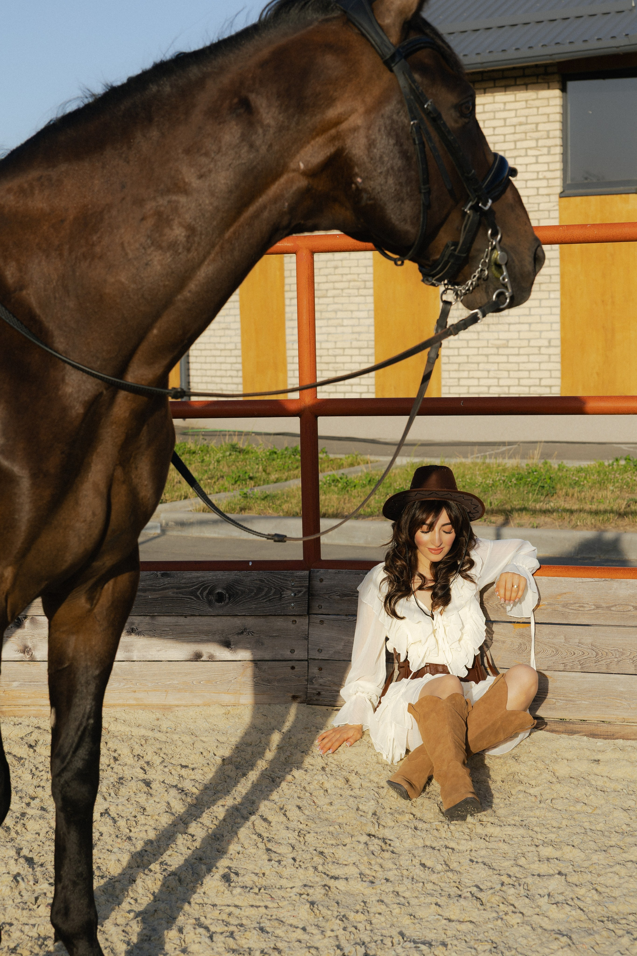 Golden Horse. Фотограф Алина Мкртычева