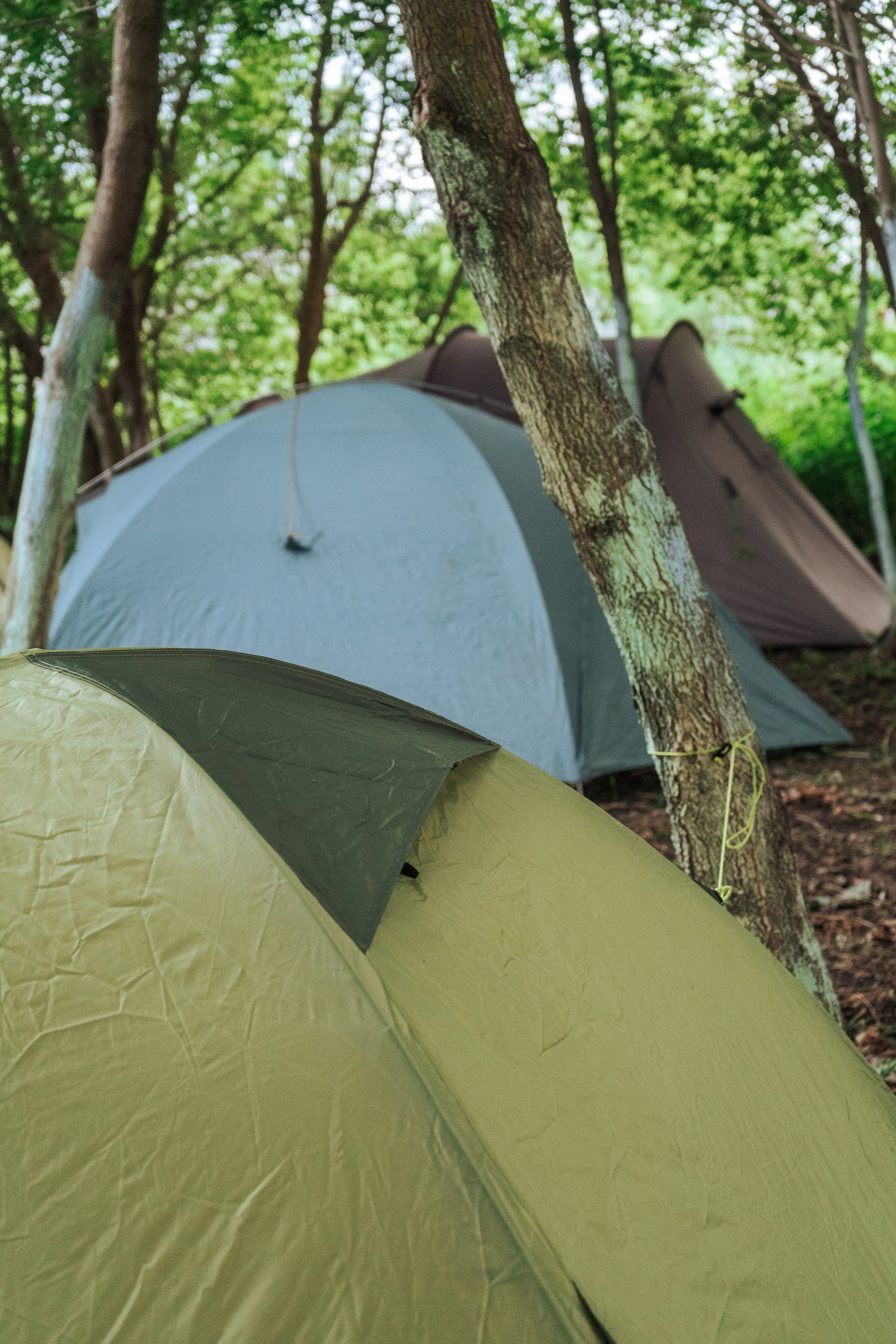 Ретрит от т-центра Псайторий 2024. Портретный фотограф Нижний Новгород