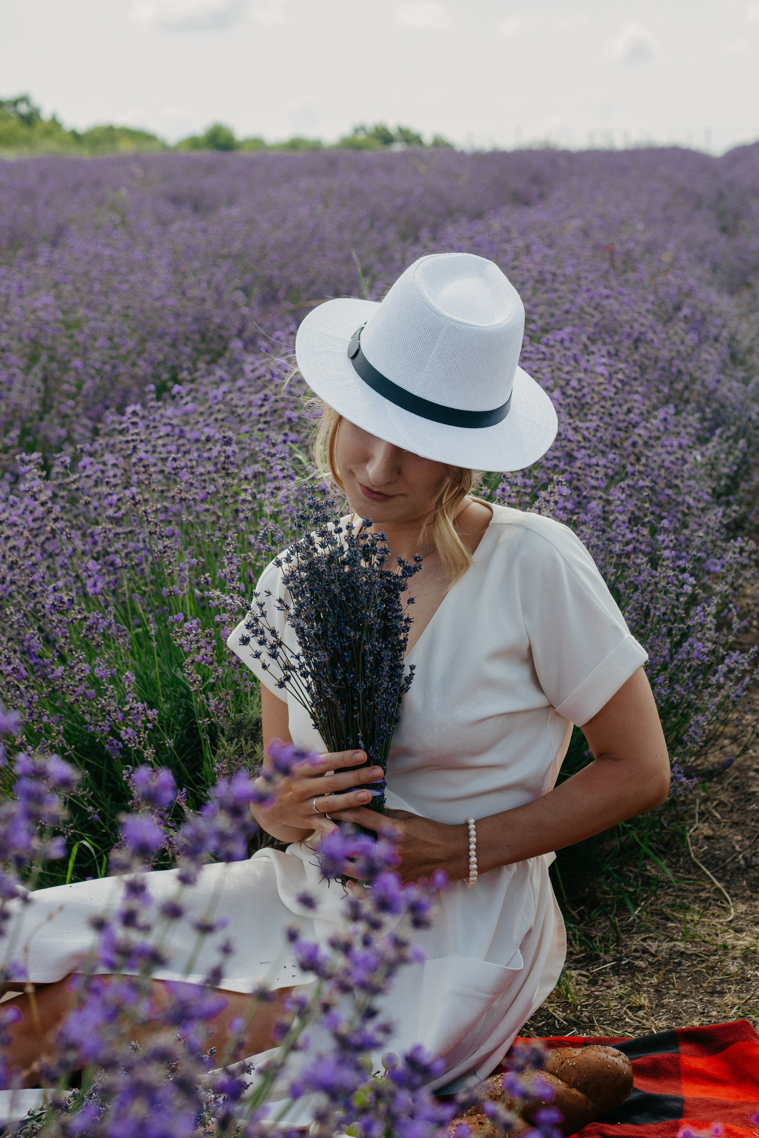 Лаванда. Главная