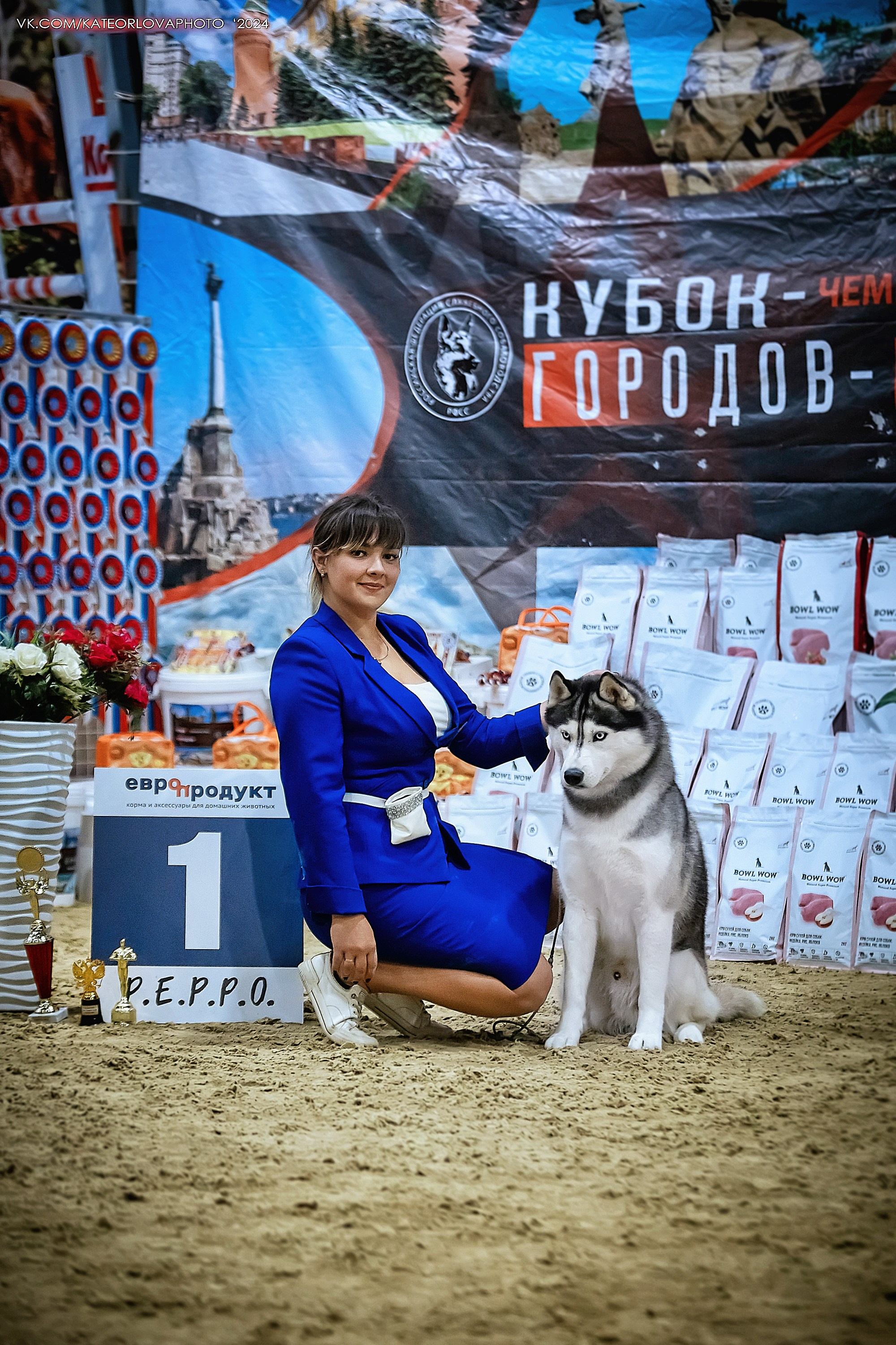 Выставки и победы наших  собак. Питомник собак Акита, Хаски, Корги