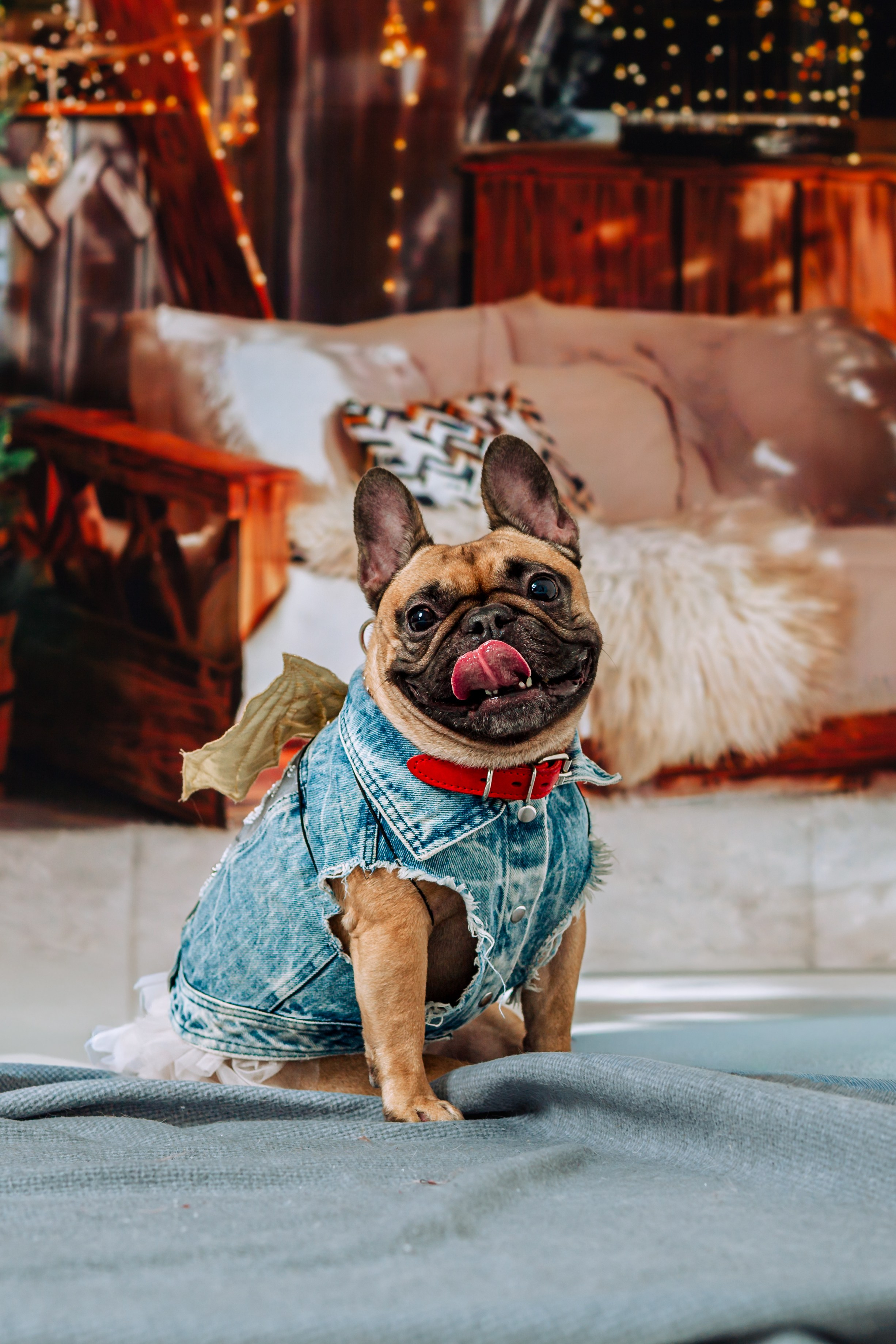 Бульвстреча 2025. Фотограф-анималист Татьяна Степанова