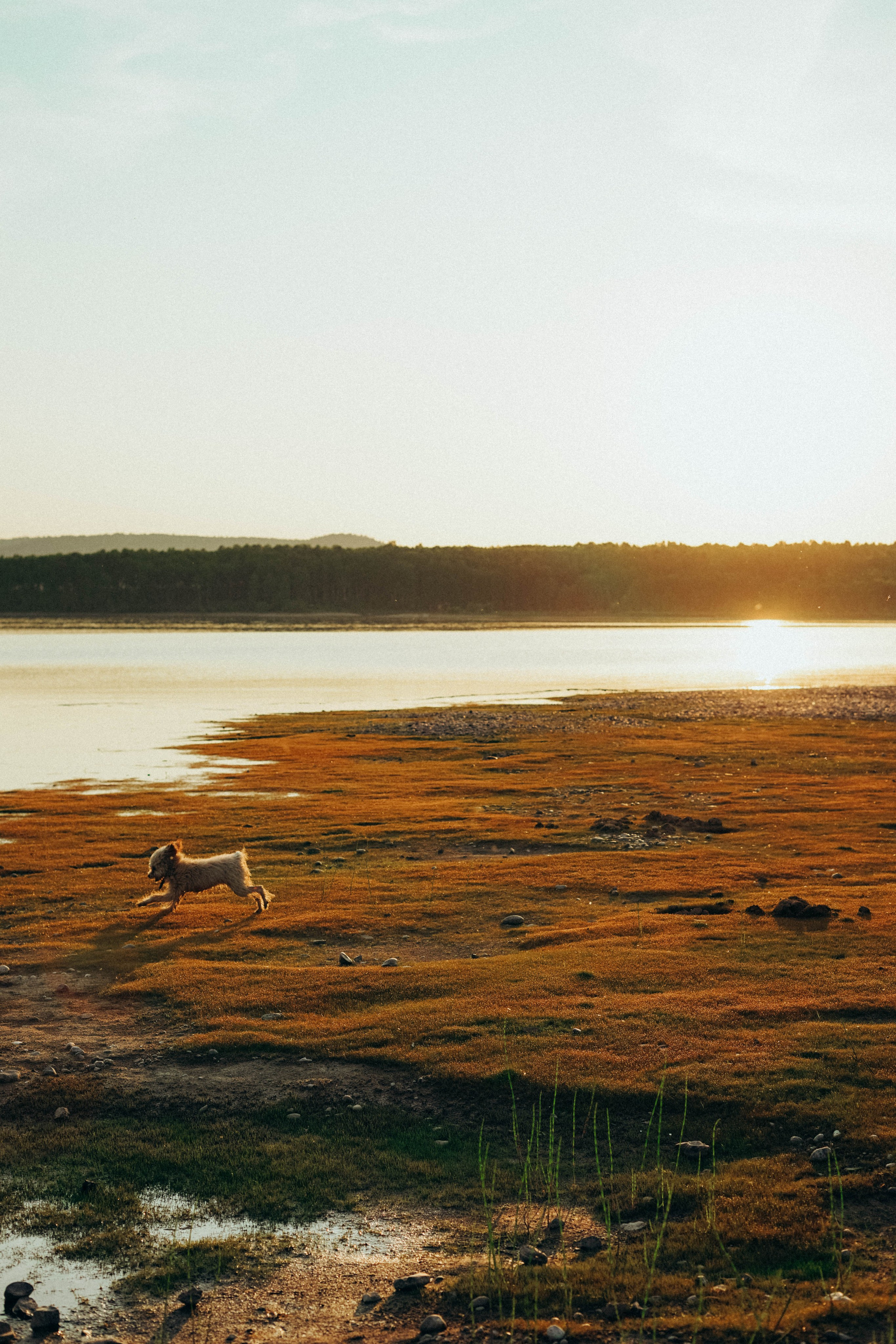 Алина и Коля. Фотограф в Иркутске