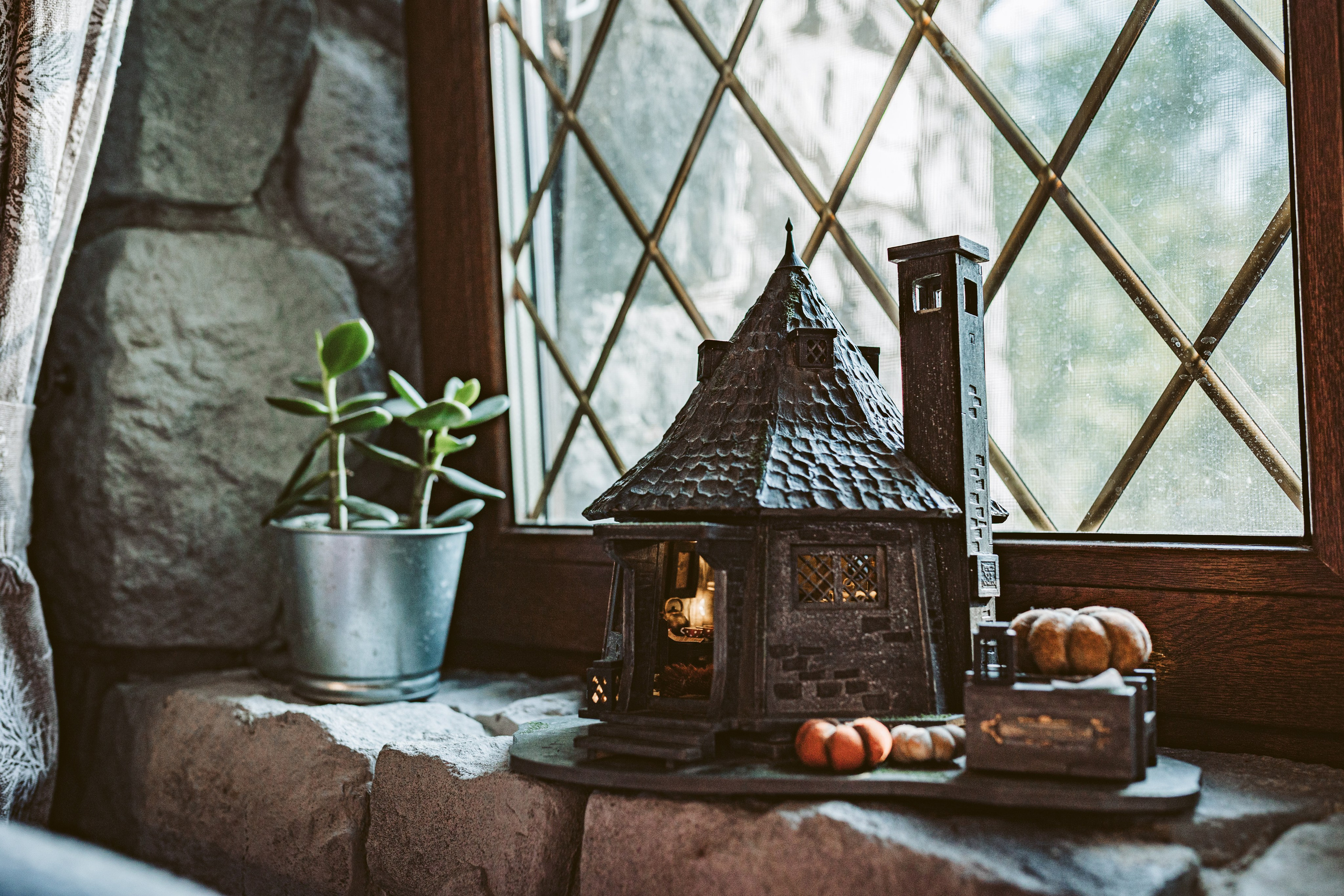 Хижина Хагрида. Свадебный фотограф Курзина Ольга | Москва