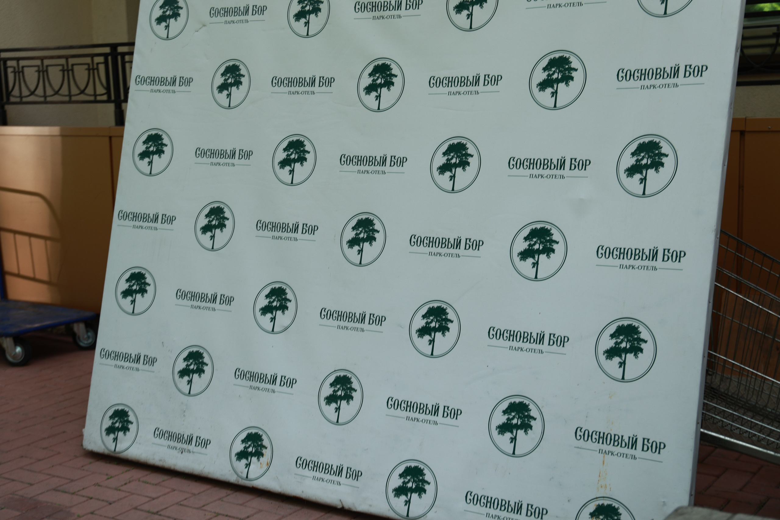 Show To day Выпускной. Фотограф Юлия Мальцева