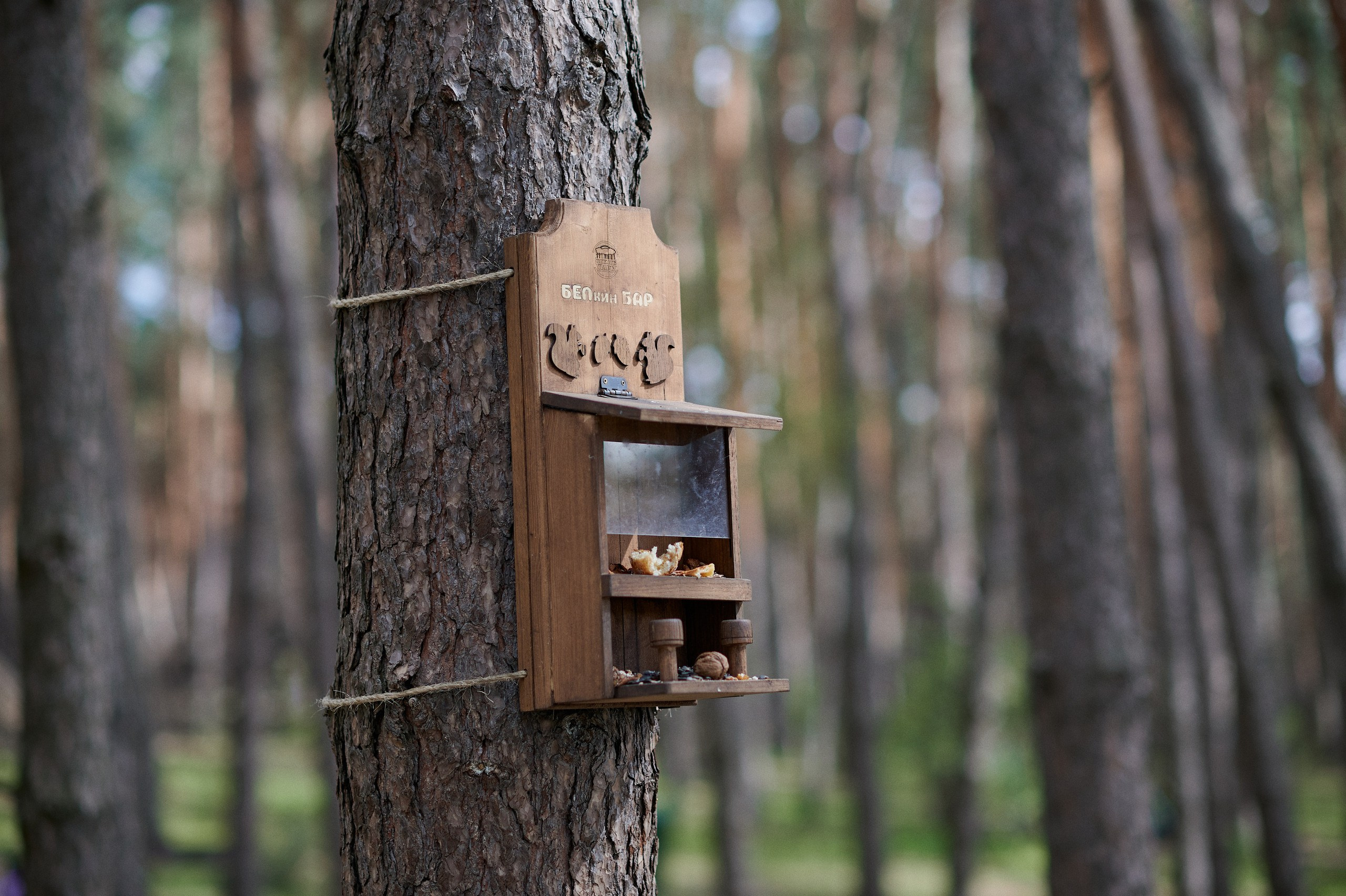 Изделия из дерева. MAAC_GALLERY-компания по производству различных изделий