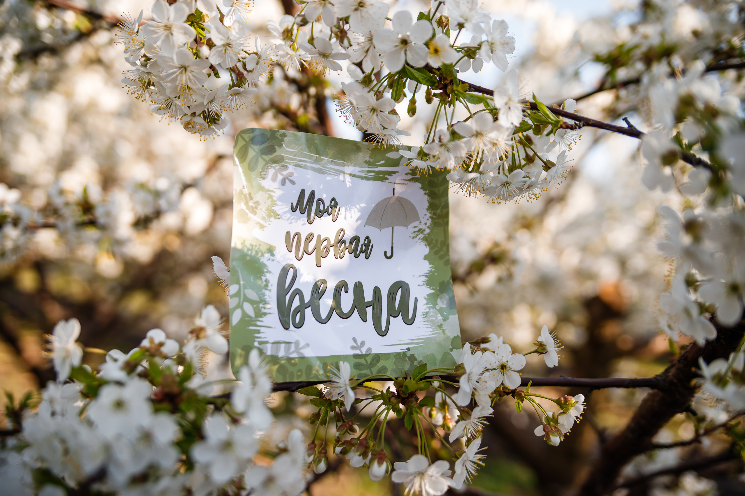 Когда в душе весна. Свадебный и семейный фотограф в городе Воронеж. Ирина Боловина