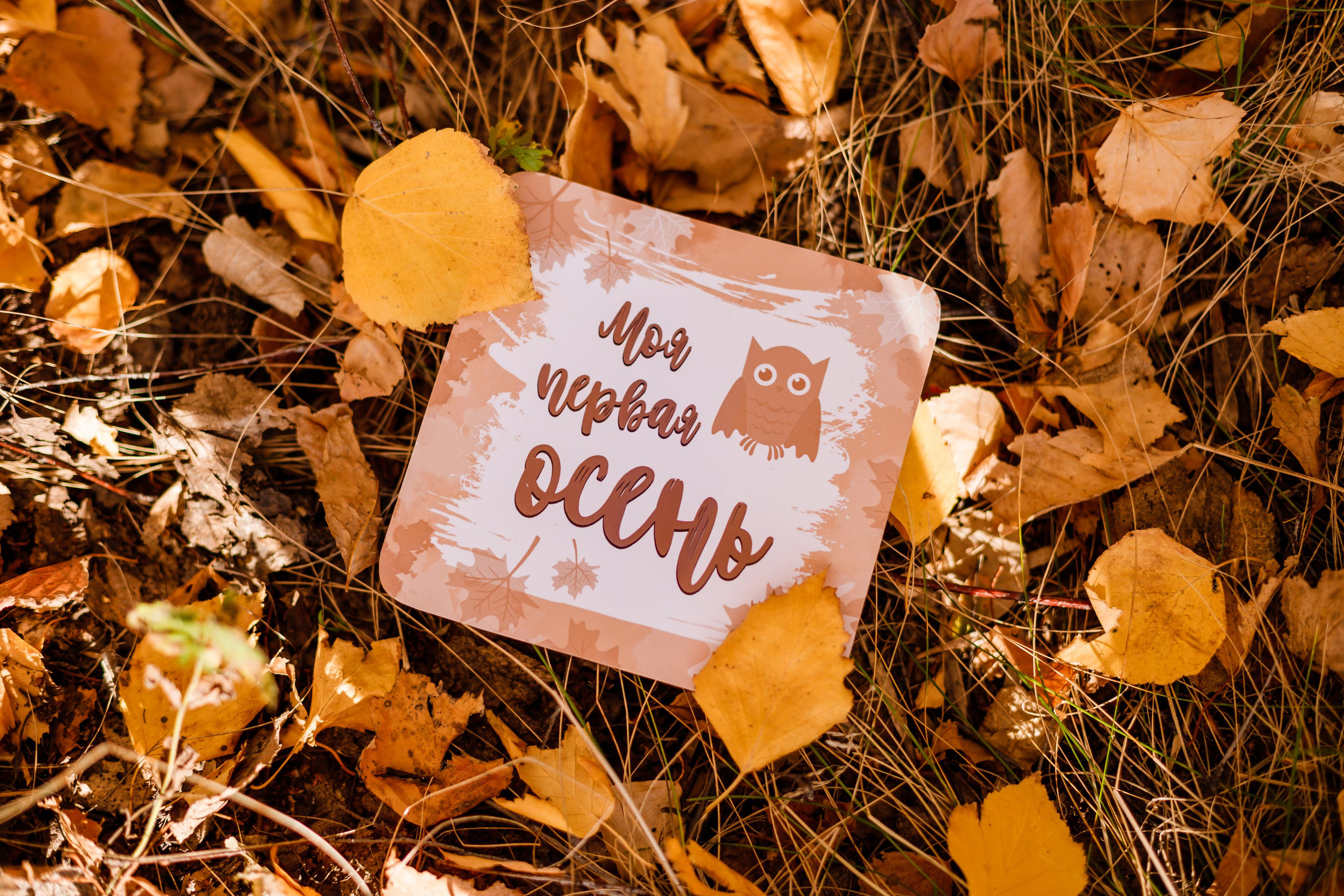 Её первая осень. Свадебный и семейный фотограф в городе Воронеж. Ирина Боловина