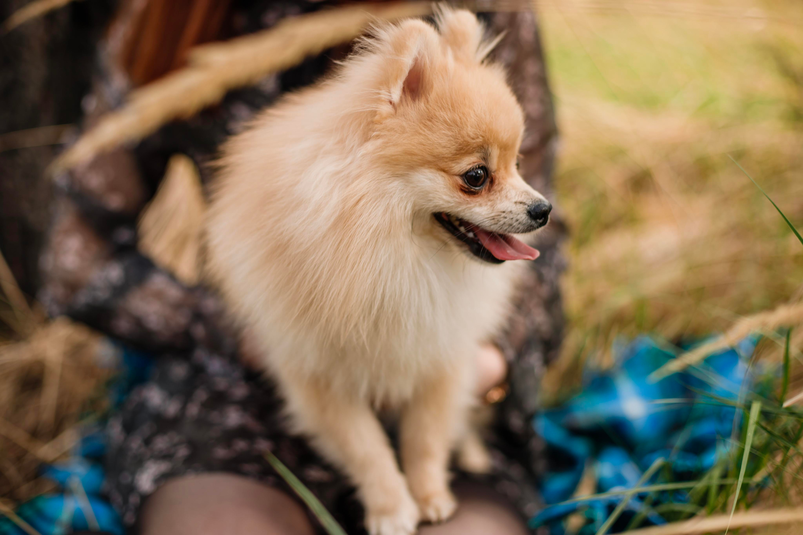 Стас ♥ Лера. Свадебный и семейный фотограф в городе Воронеж. Ирина Боловина