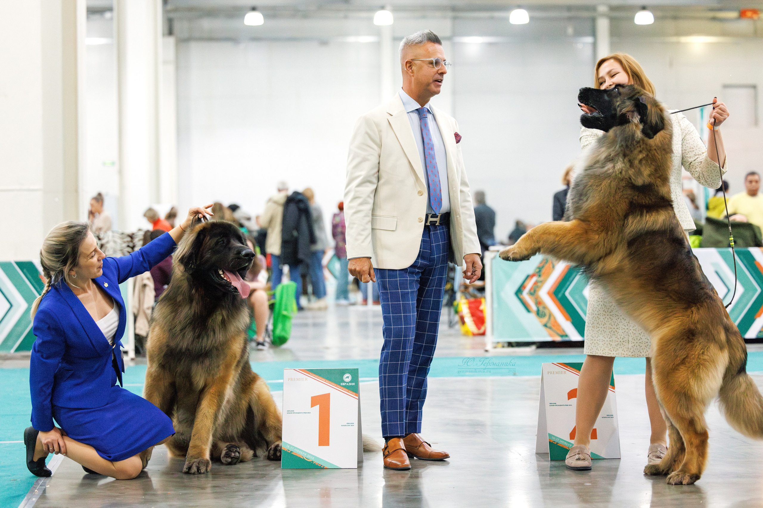 Евразия 16-17.11.2024. Фотограф-анималист Юлия Германика