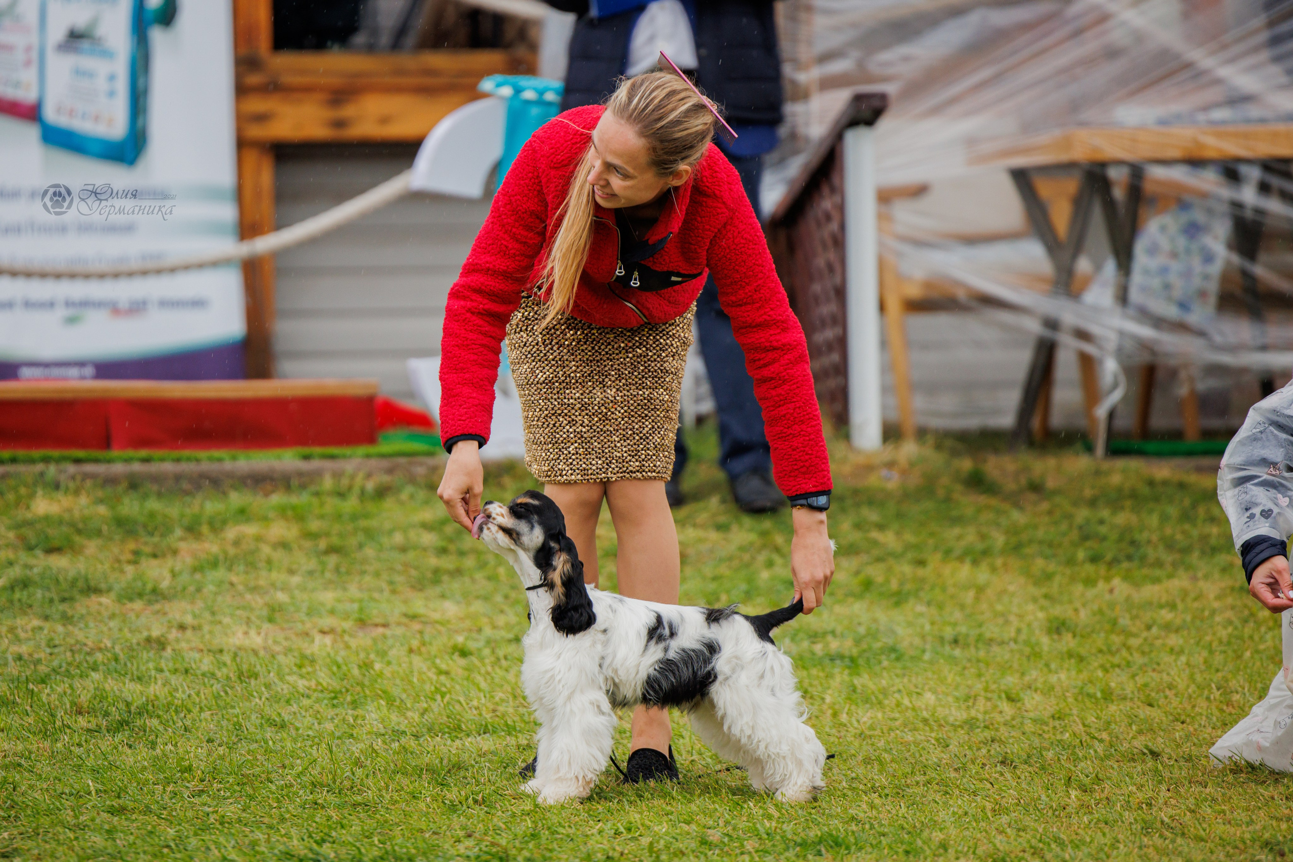 Армения,Ереван 3хCACIB 15-17.10.2024. Фотограф-анималист Юлия Германика