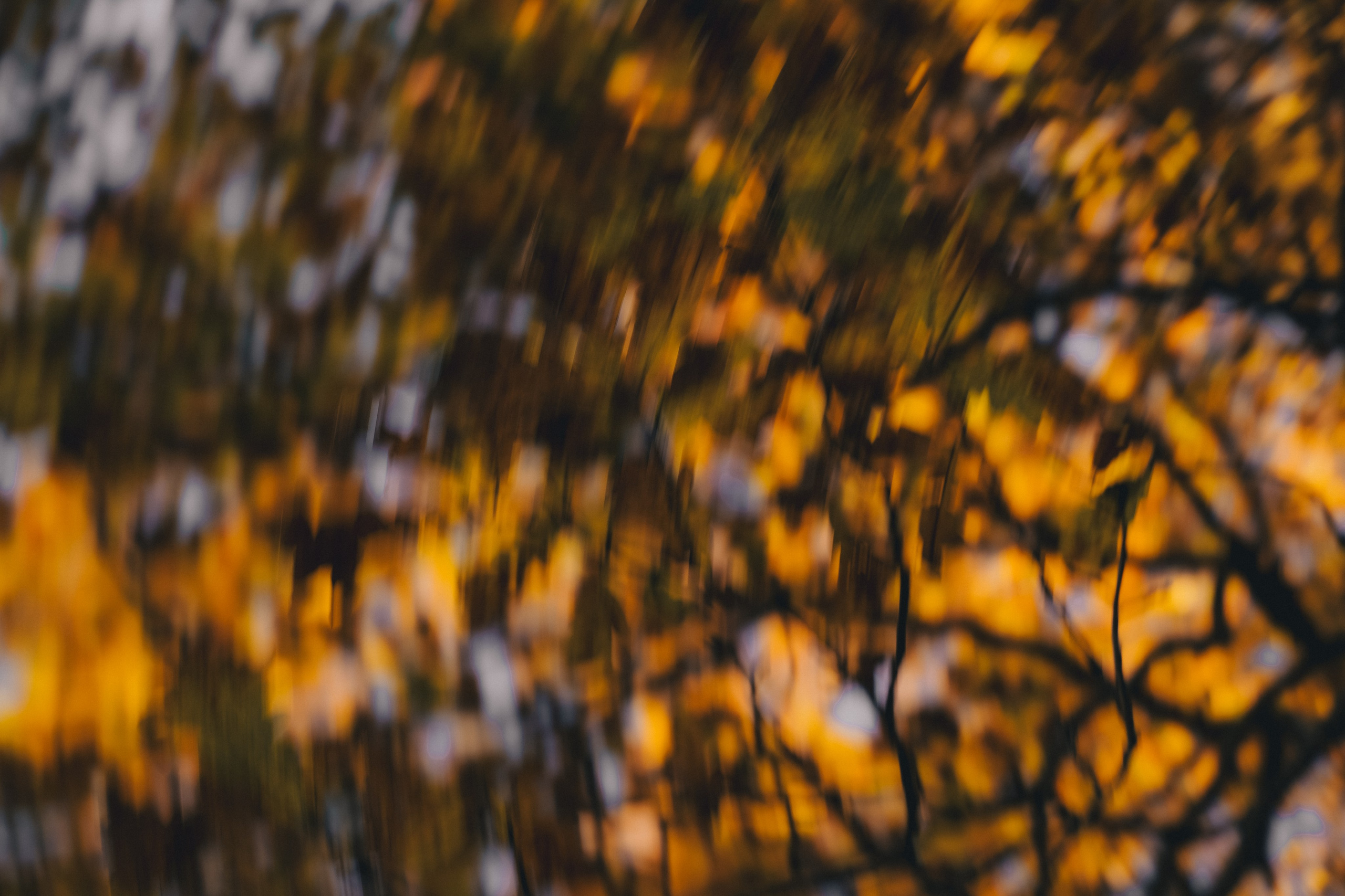 Фото истории. Коновалова Юлия