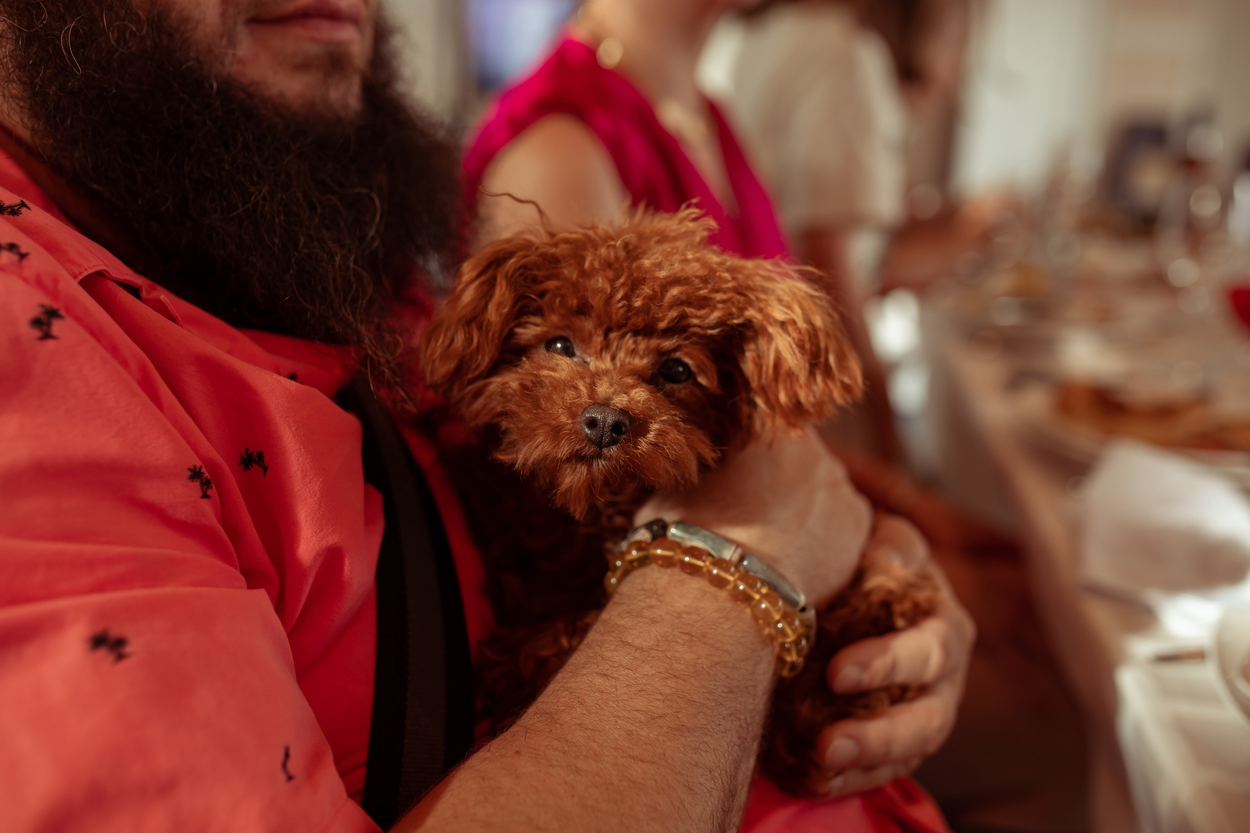Юбилей Полины в Пароходе. Семейный и детский фотограф в Москве Дорогова Екатерина
