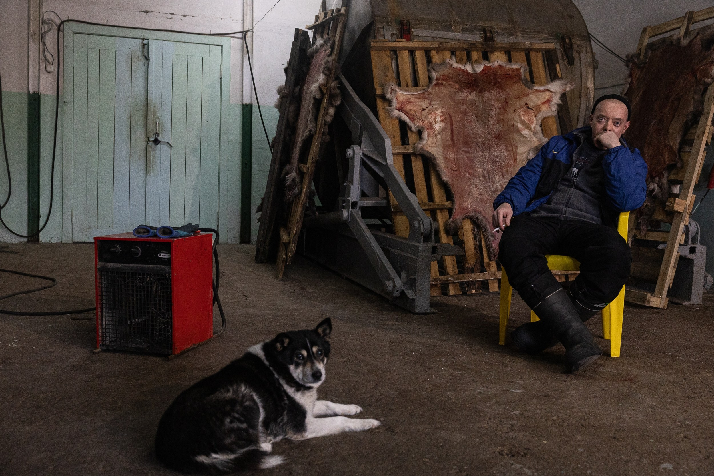 Кораль. На север к оленям. Репортажный фотограф в Сочи — Михаил Мордасов