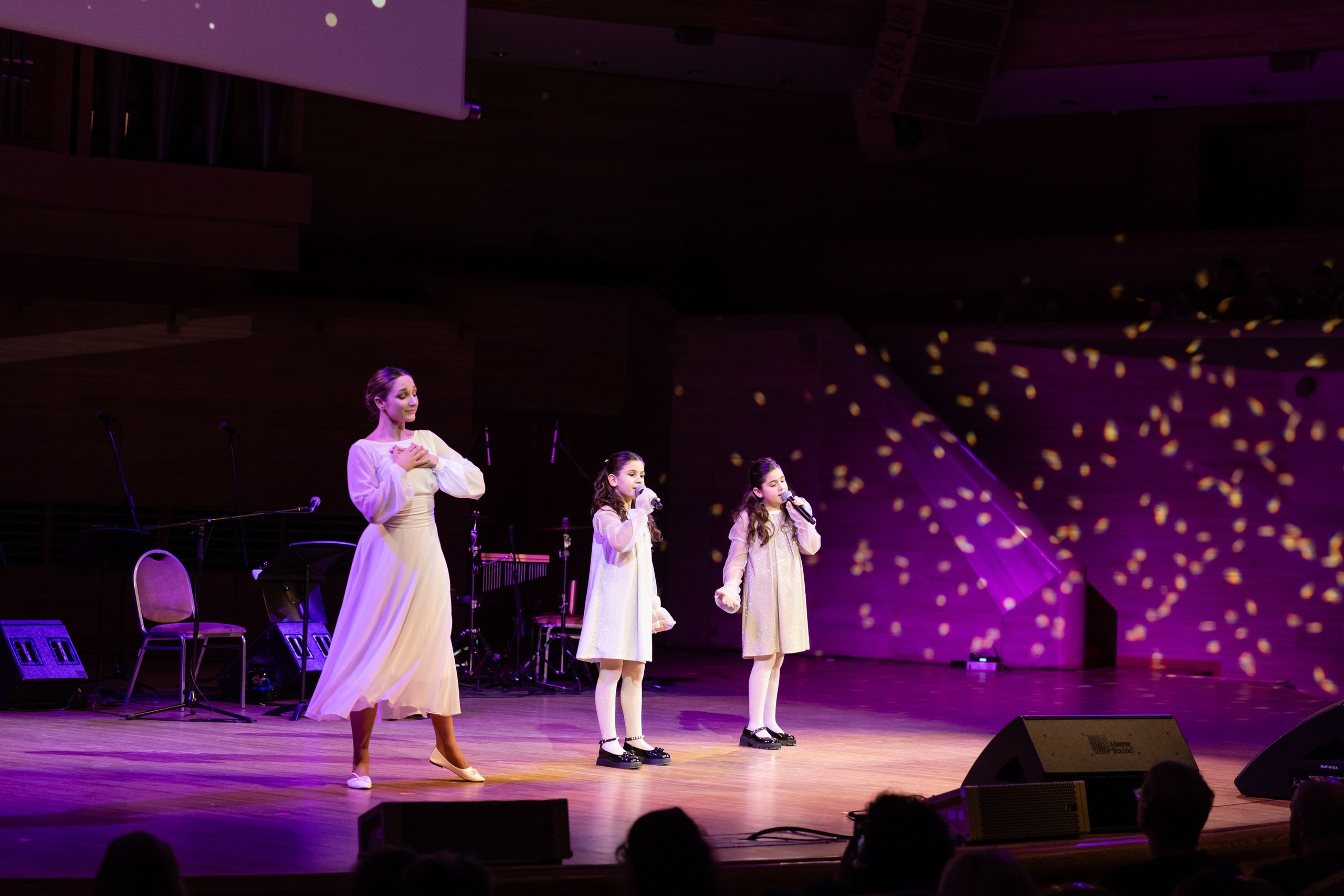 Рождественский концерт (Дом Музыки). Татьяна Чернышова свадебный фотограф Москва